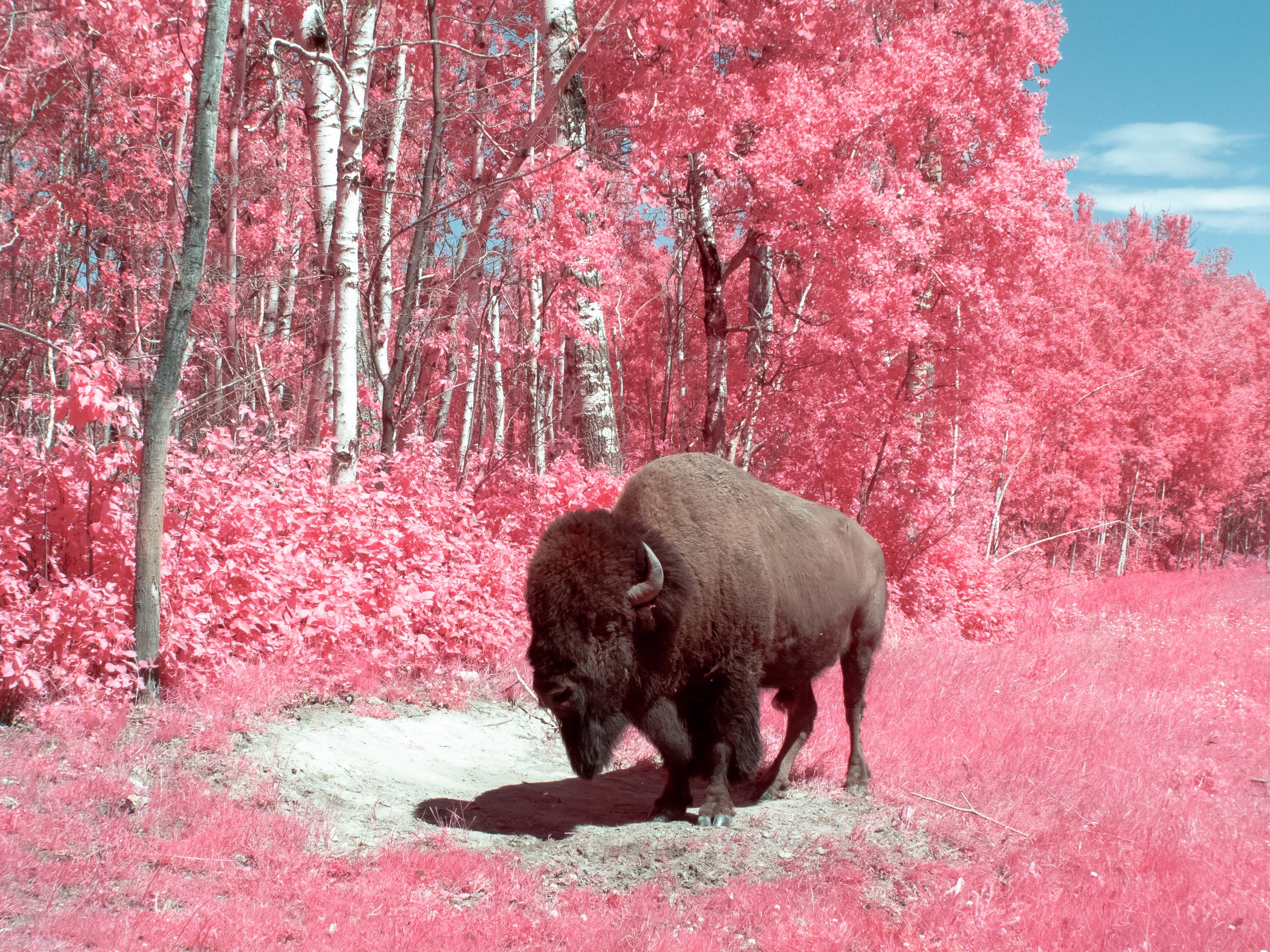2026-06-25 - IR-3.jpg