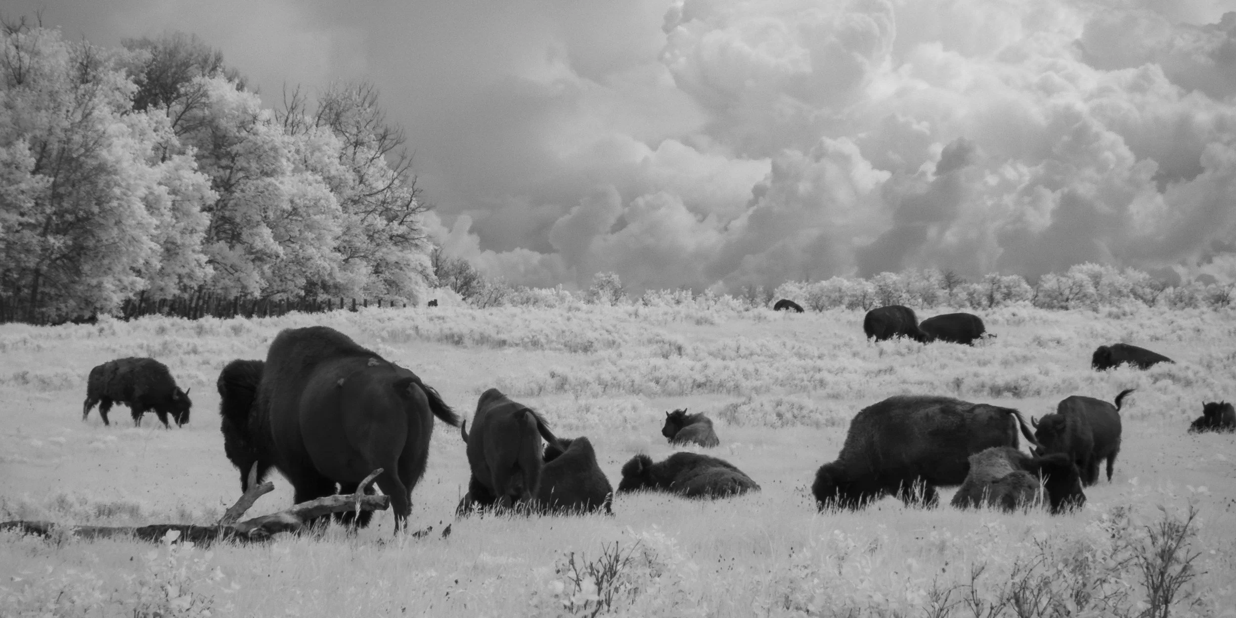 2026-06-22 - IR-3.jpg