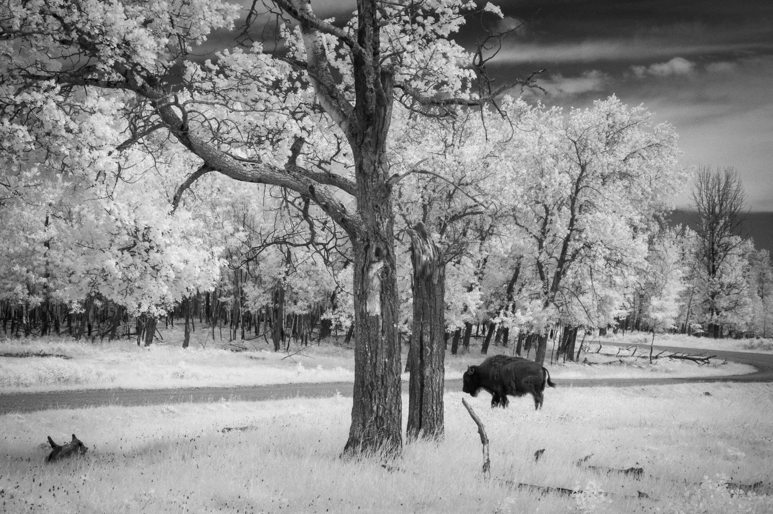2026-06-22 - IR-2.jpg