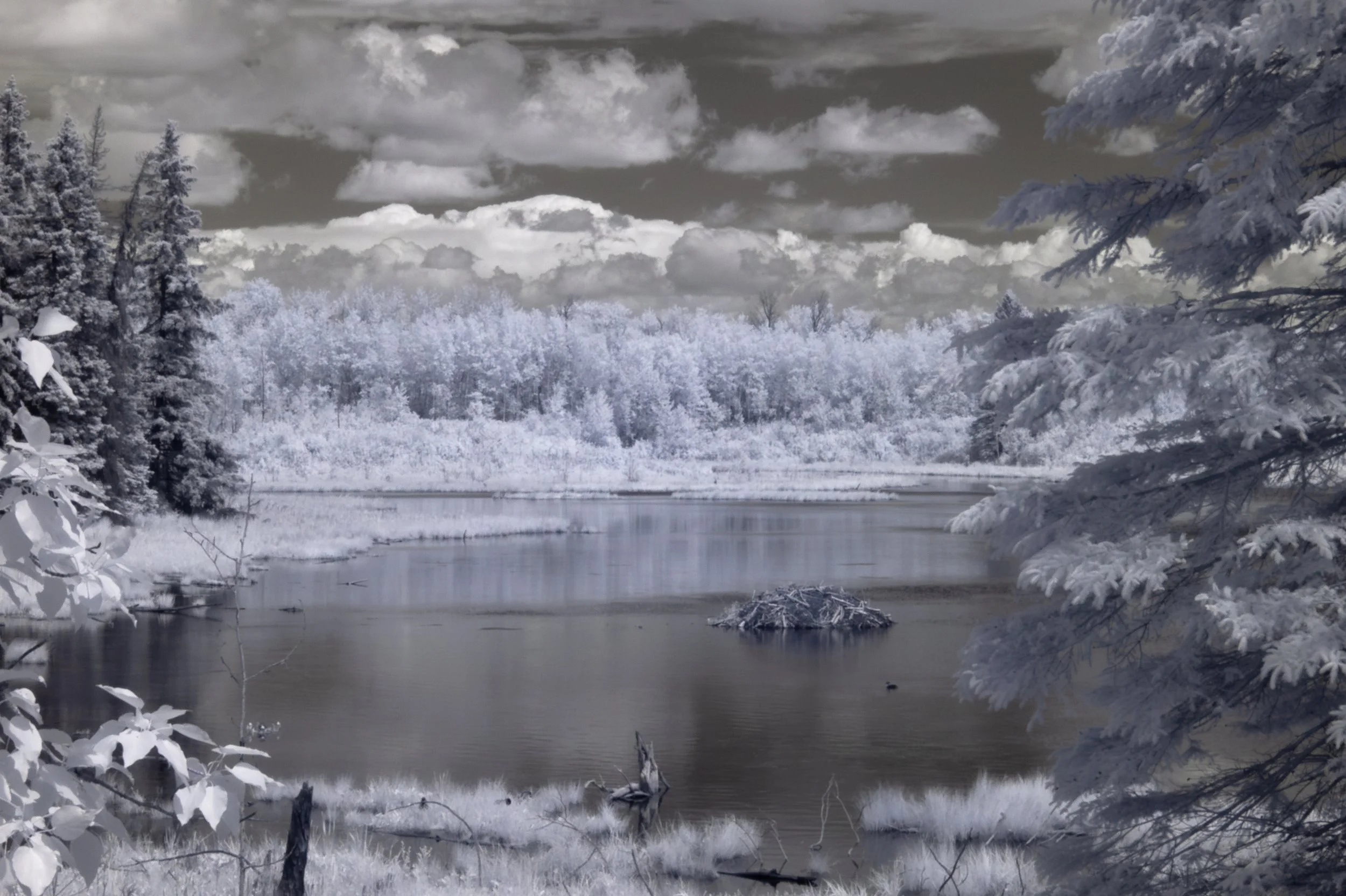 2026-05-17 - IR-9.jpg