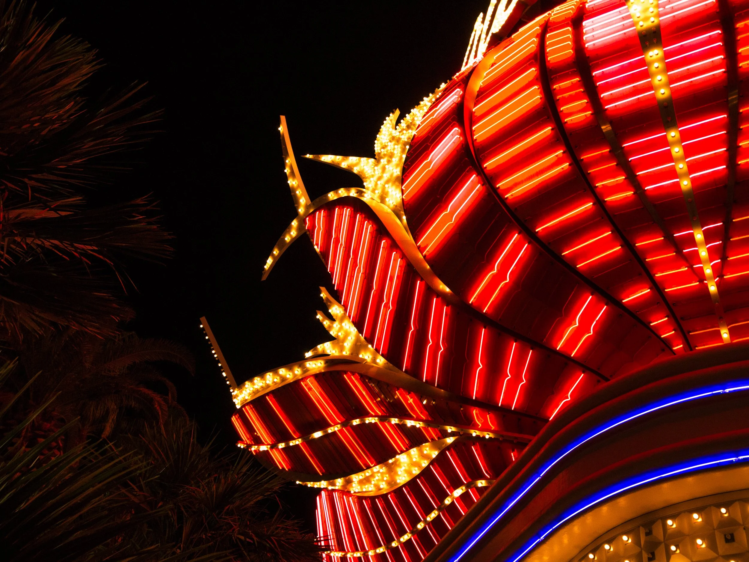 2019-03-04 - Flamingo I.jpg