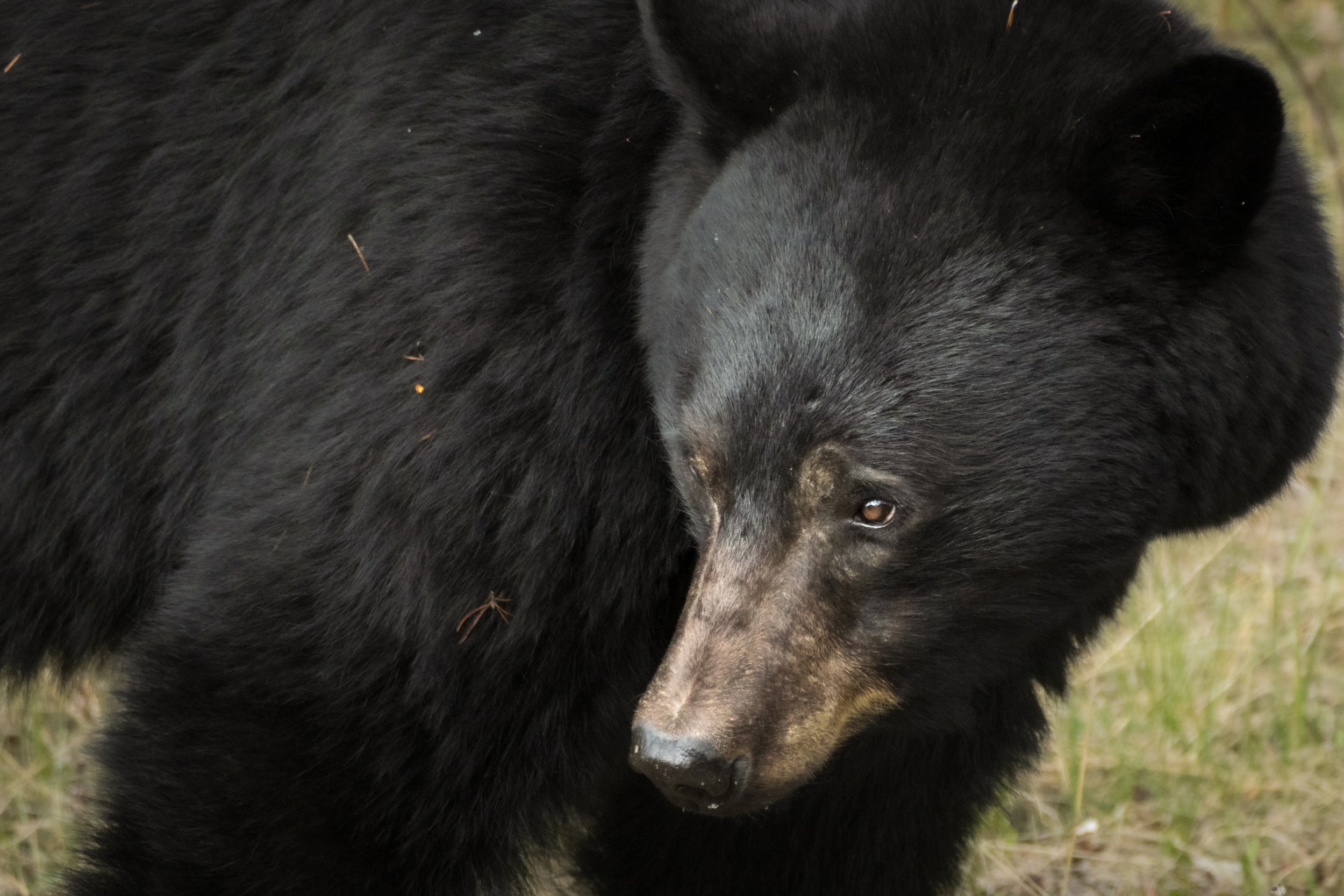 2025-12-01 - Sum-14.jpg