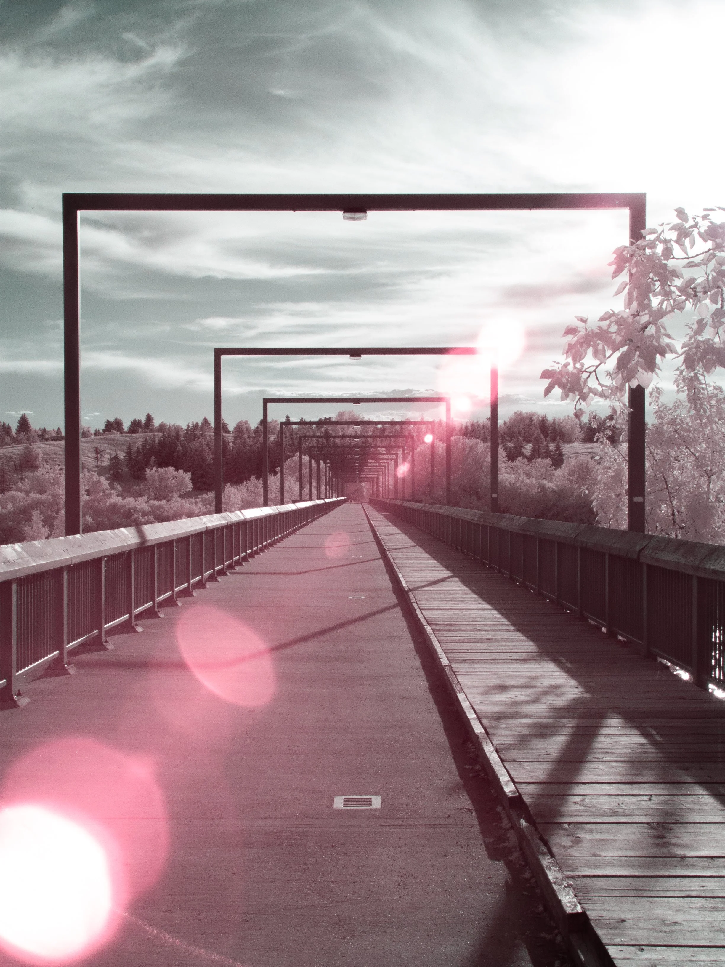 2024-06-17 - IR-3.jpg