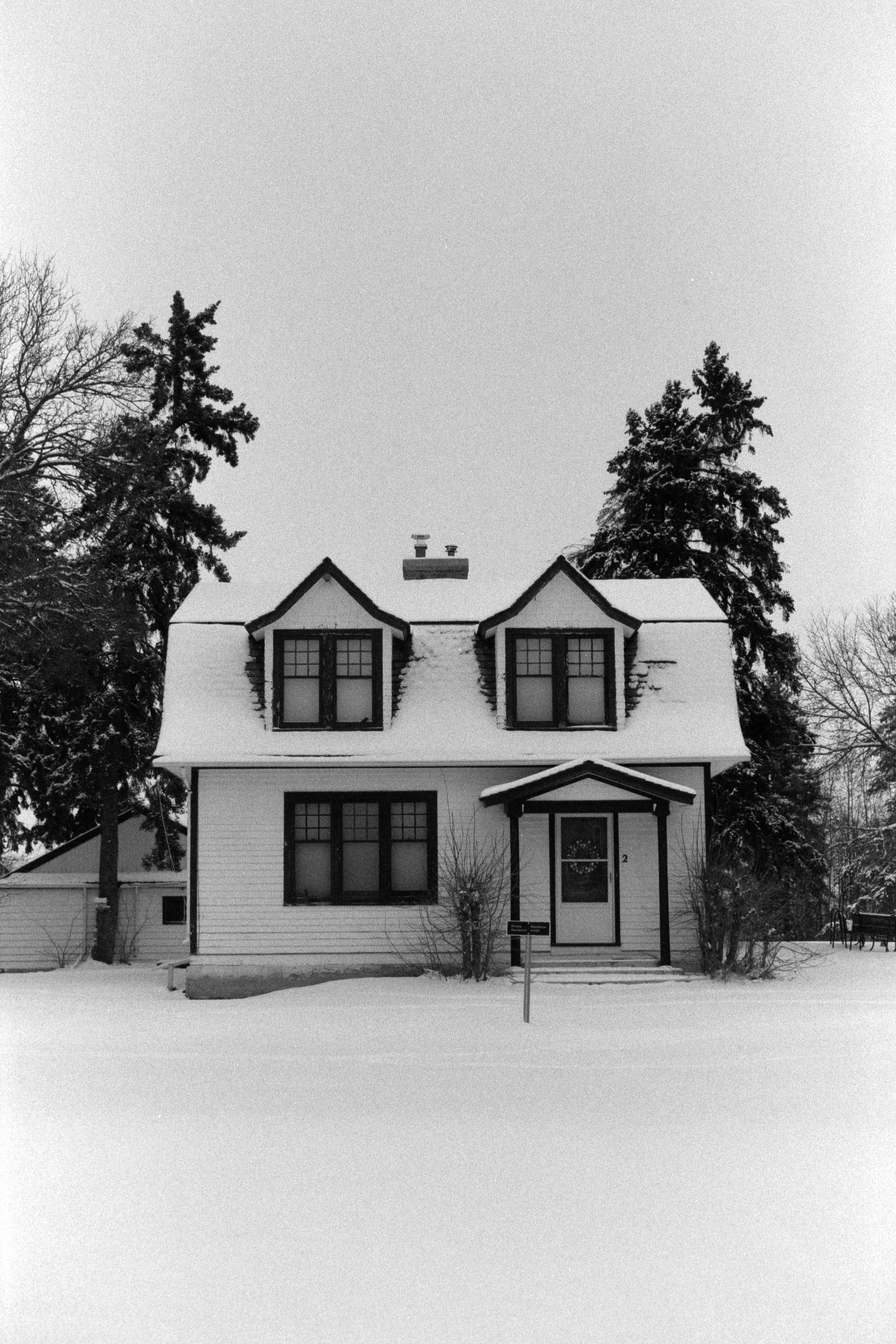 2024-03-20 - Lady Grey.jpg