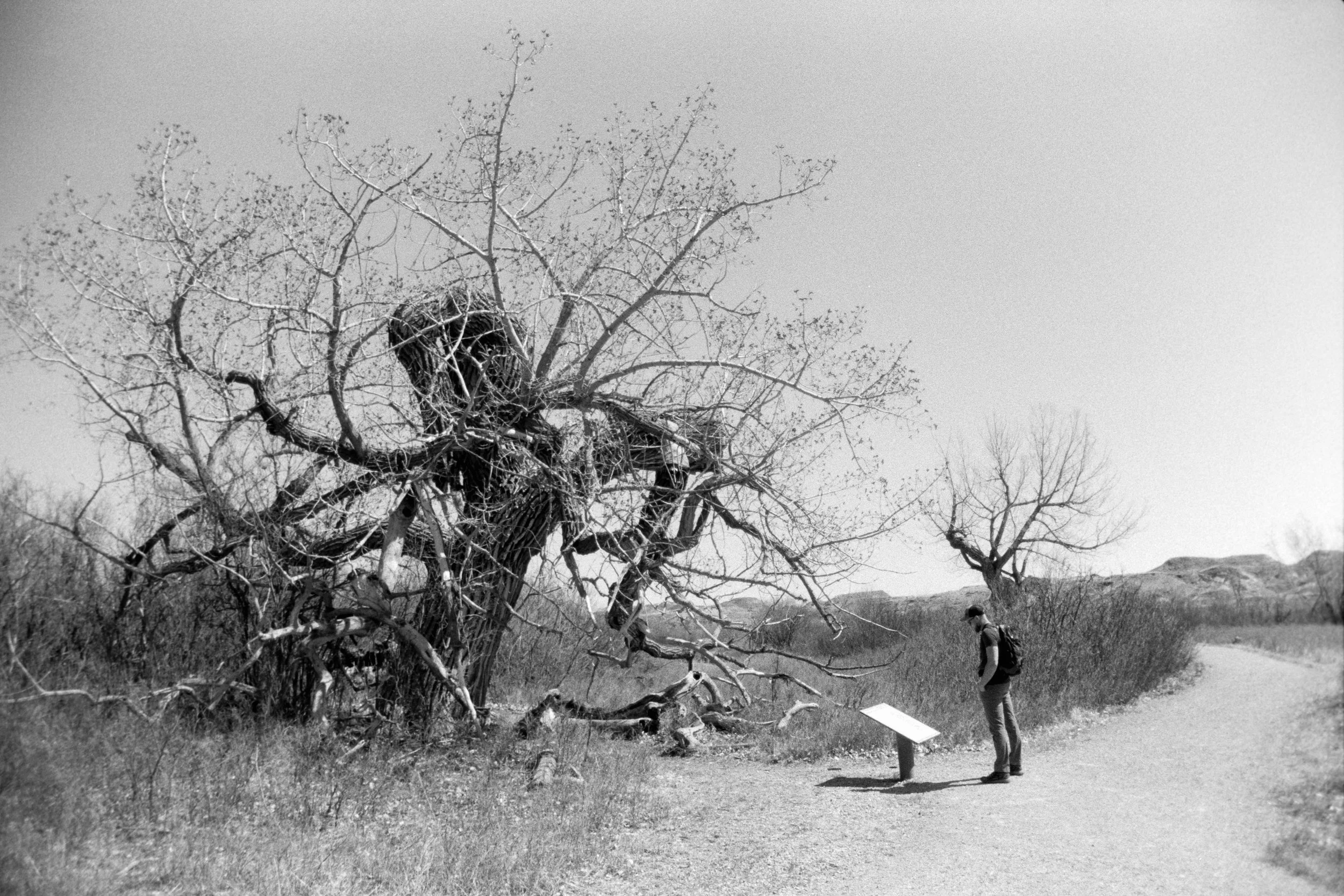 2019-12-30 - BWXX-5.jpg