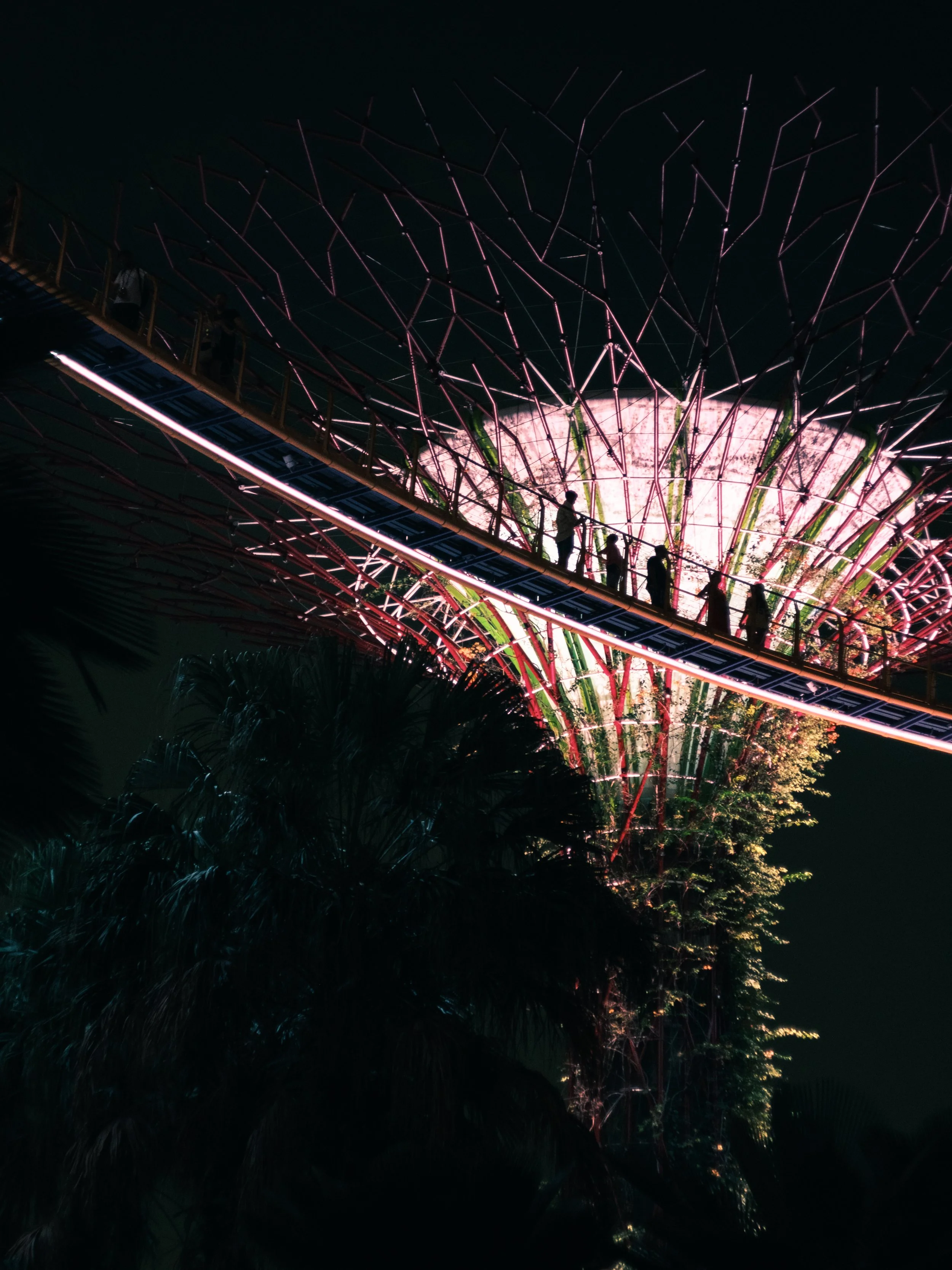 2025-04-19 - Singapore-2.jpg