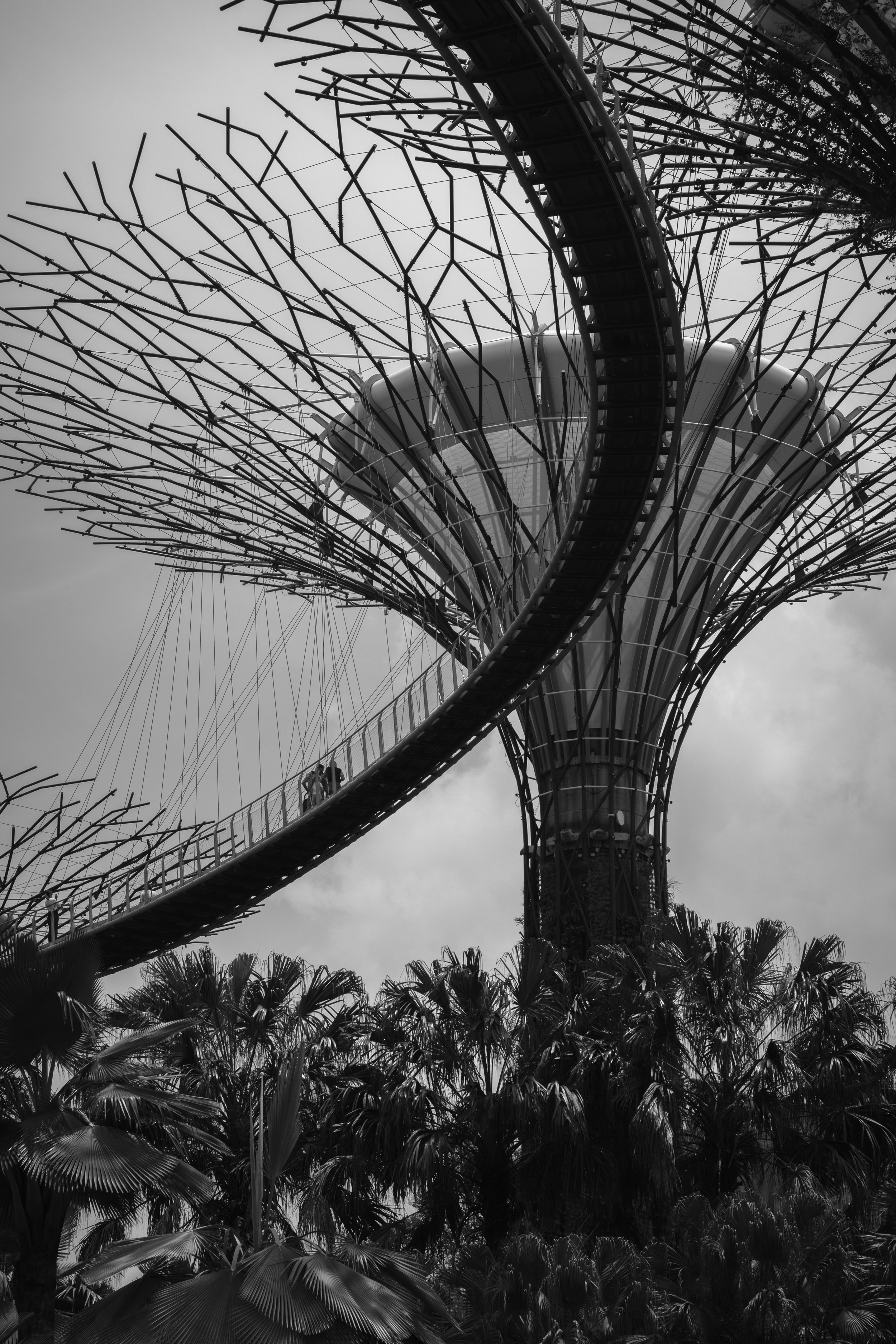 2025-12-12 - hk-63.jpg