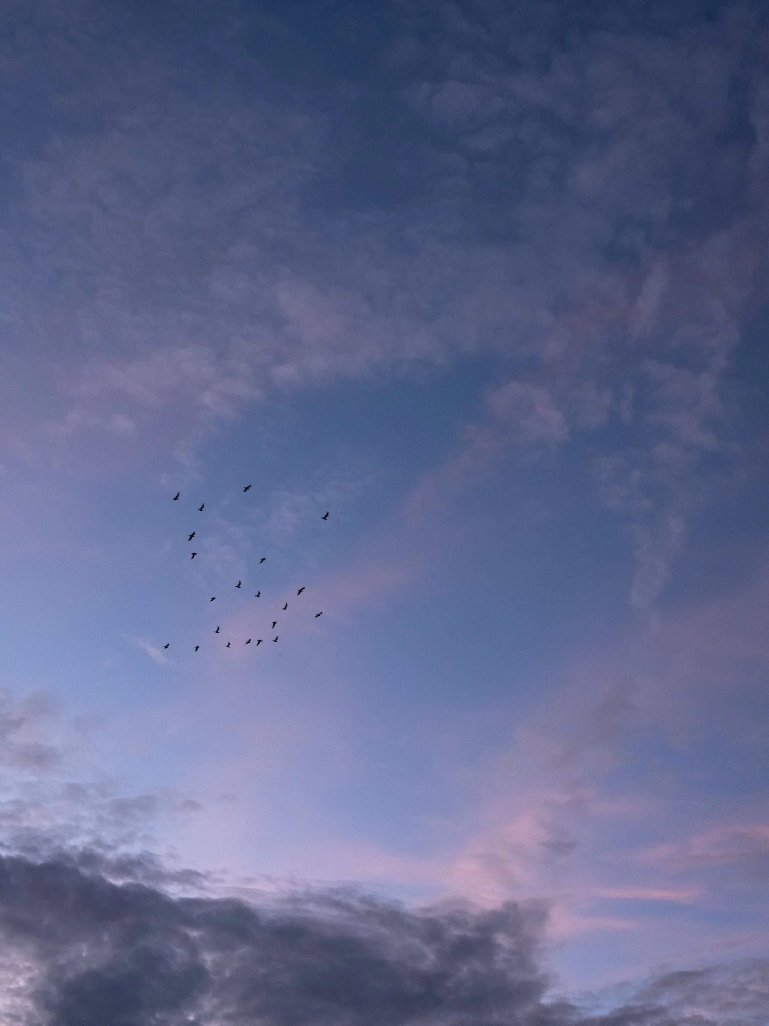 2023-02-11 - Sky-5.jpg