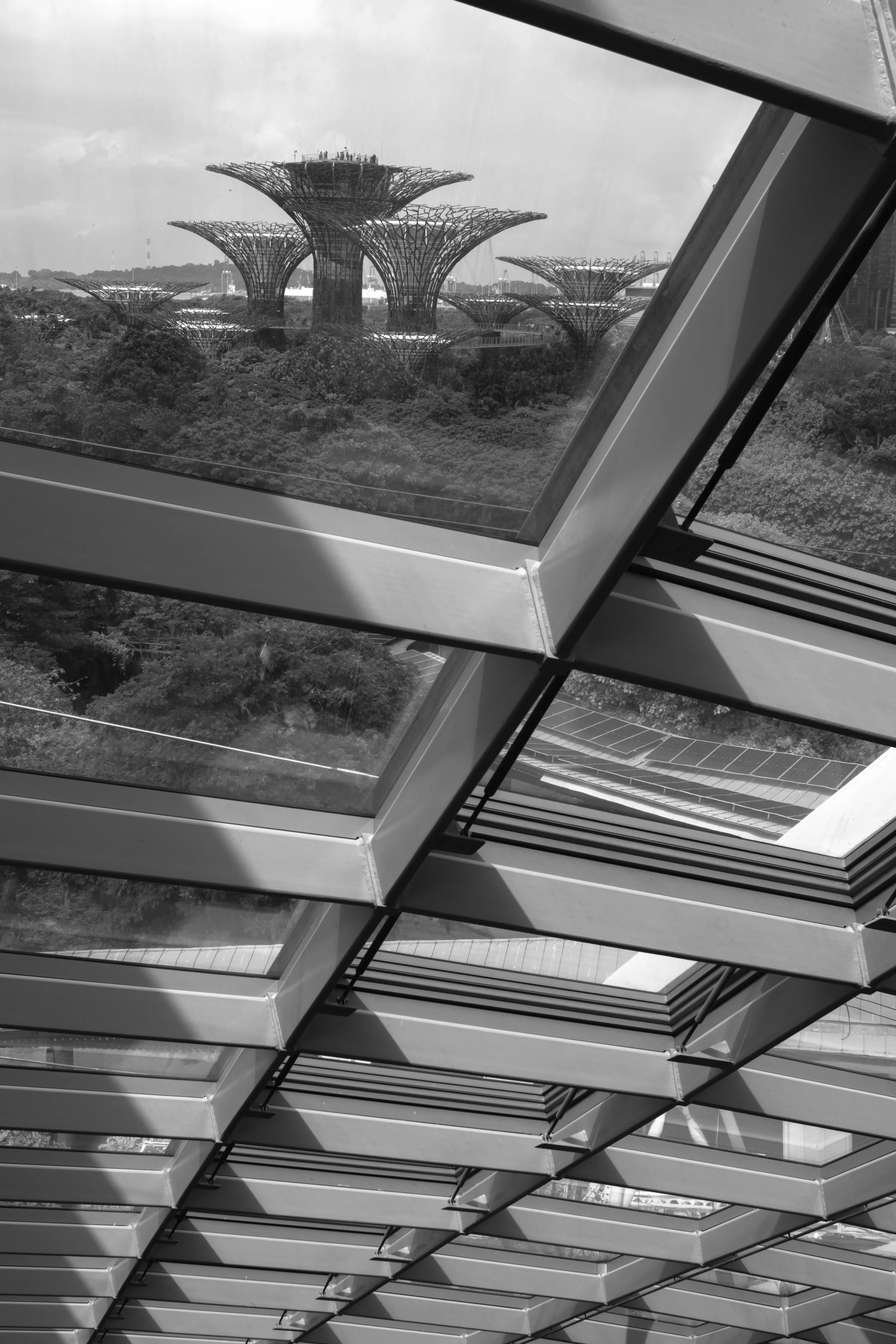 2025-12-12 - hk-54.jpg