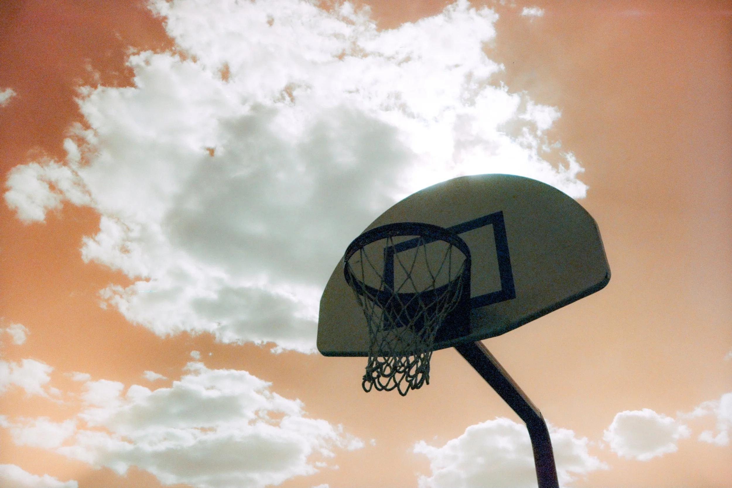 2024-05-24 - Lomo Turq.jpg