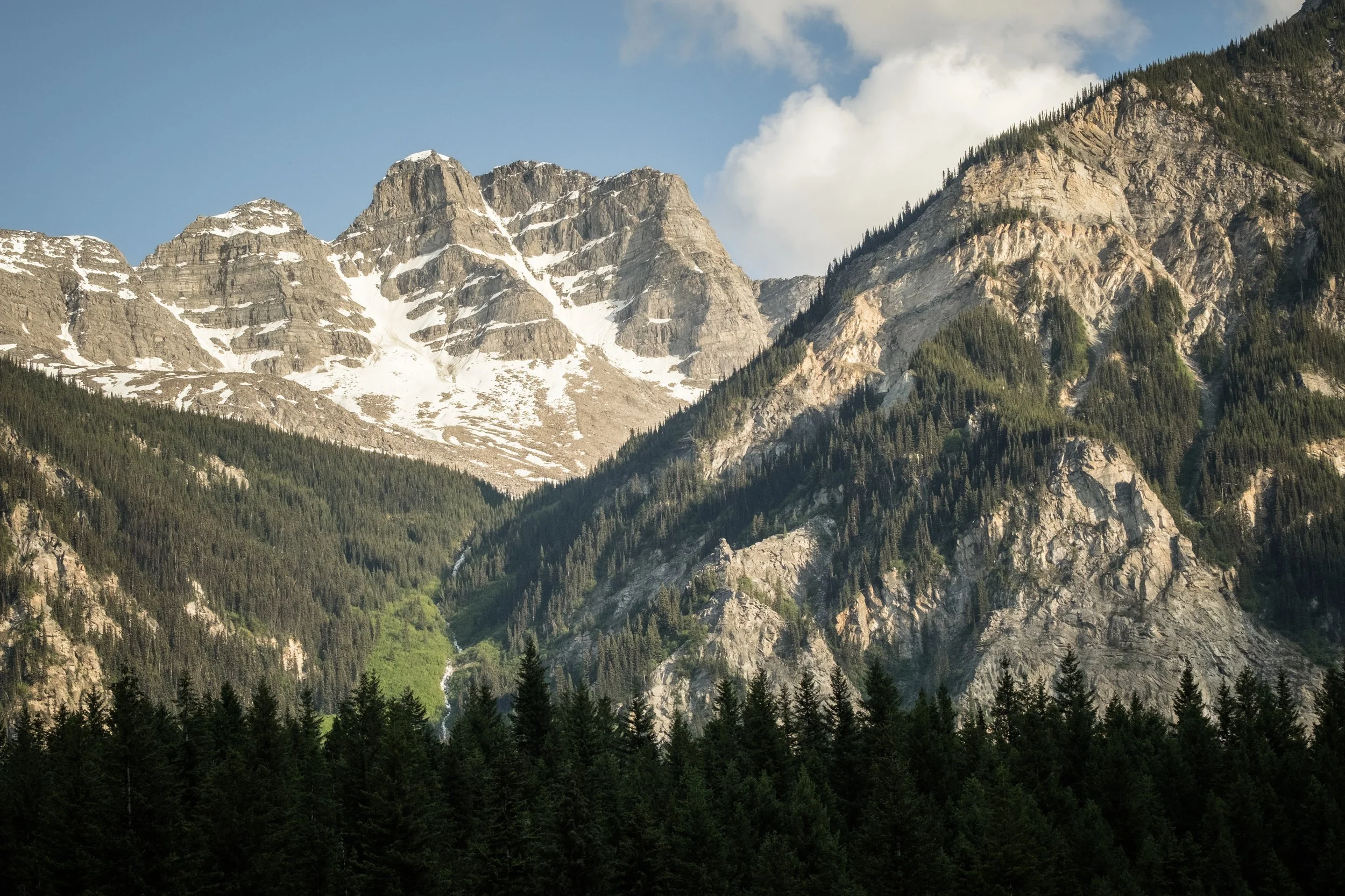 2025-12-01 - Sum-4.jpg