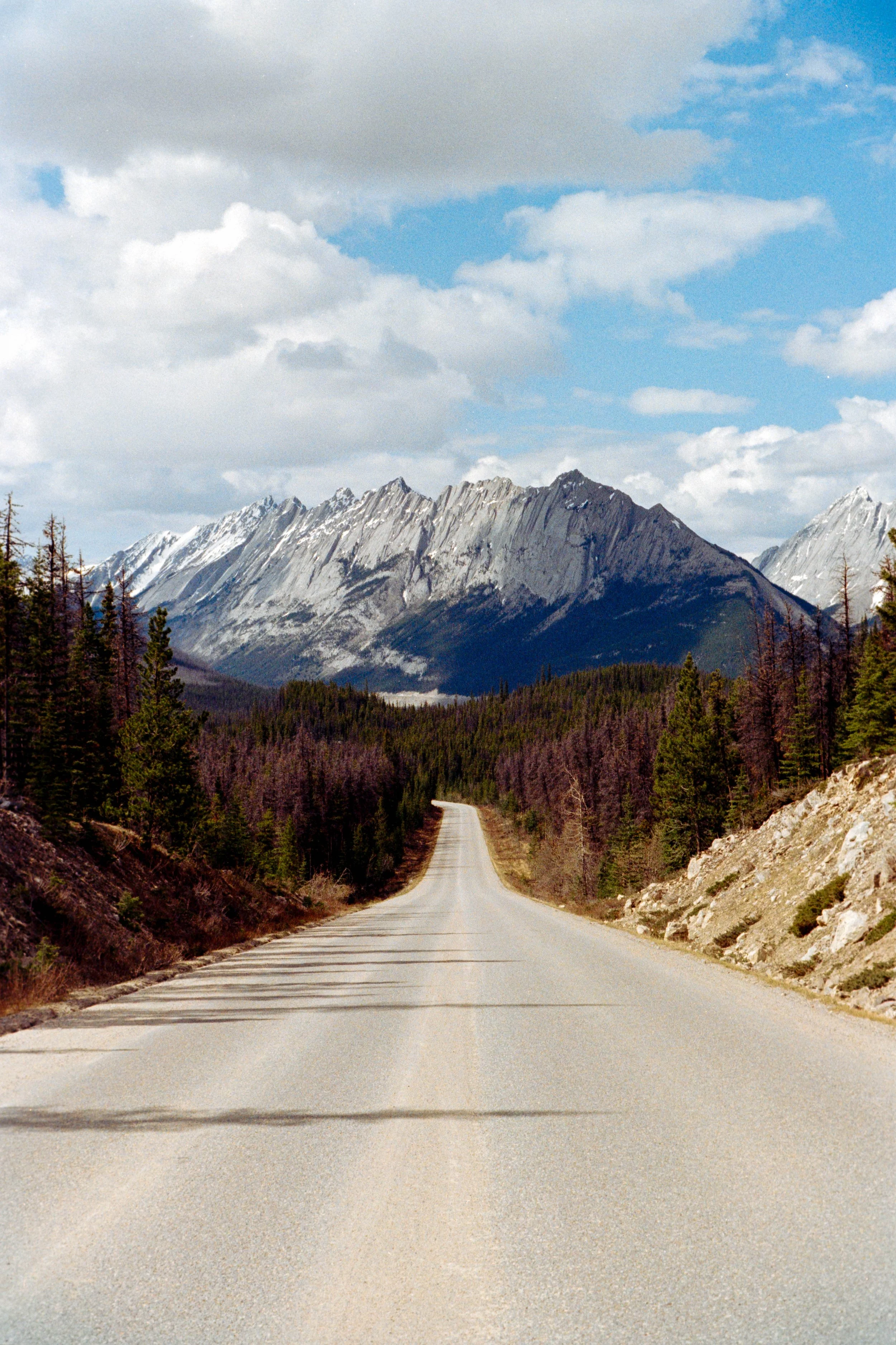 2025-05-26 - Kodak 200-9.jpg