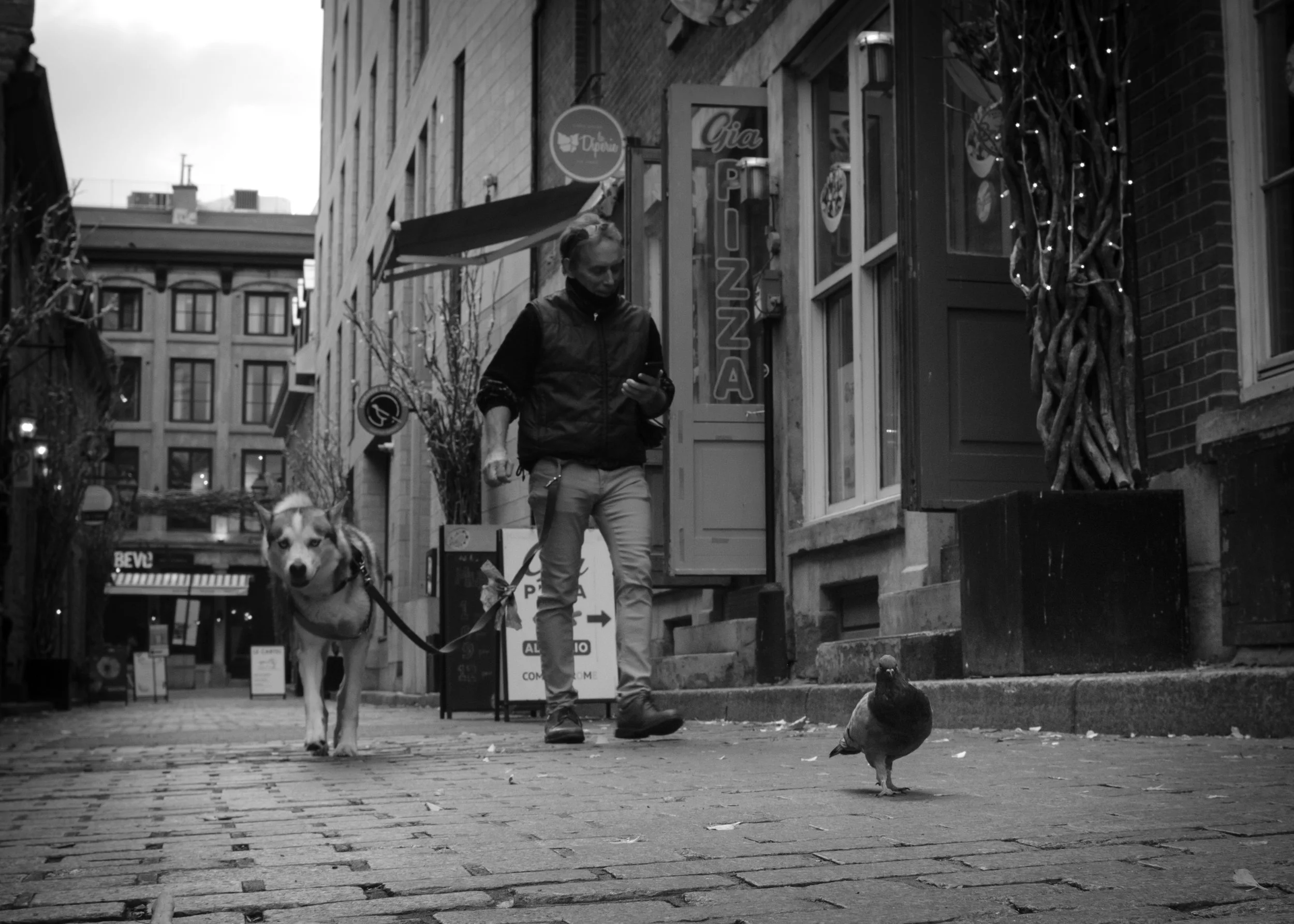 2025-11-19 - MTL.jpg