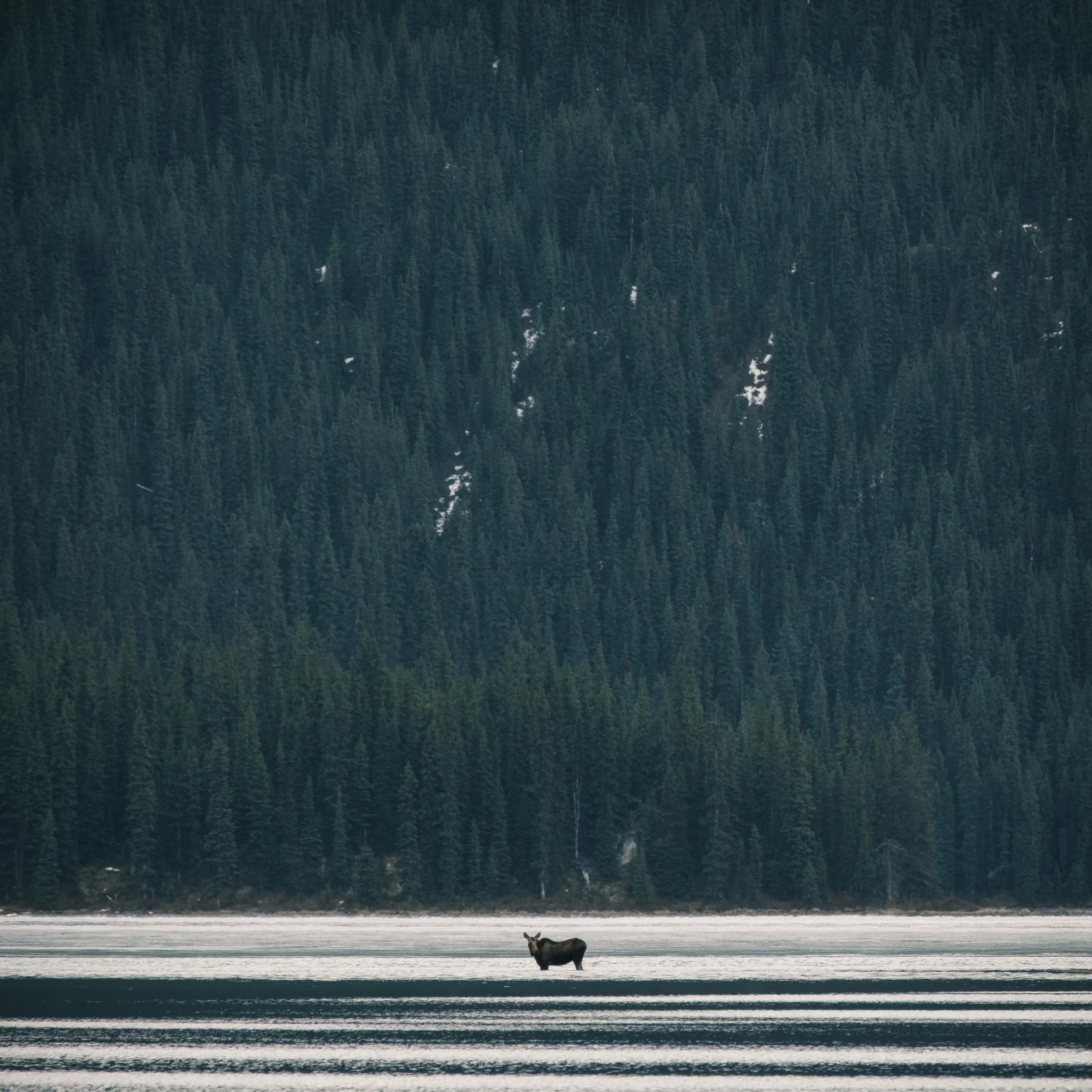 2025-12-01 - Sum-7.jpg