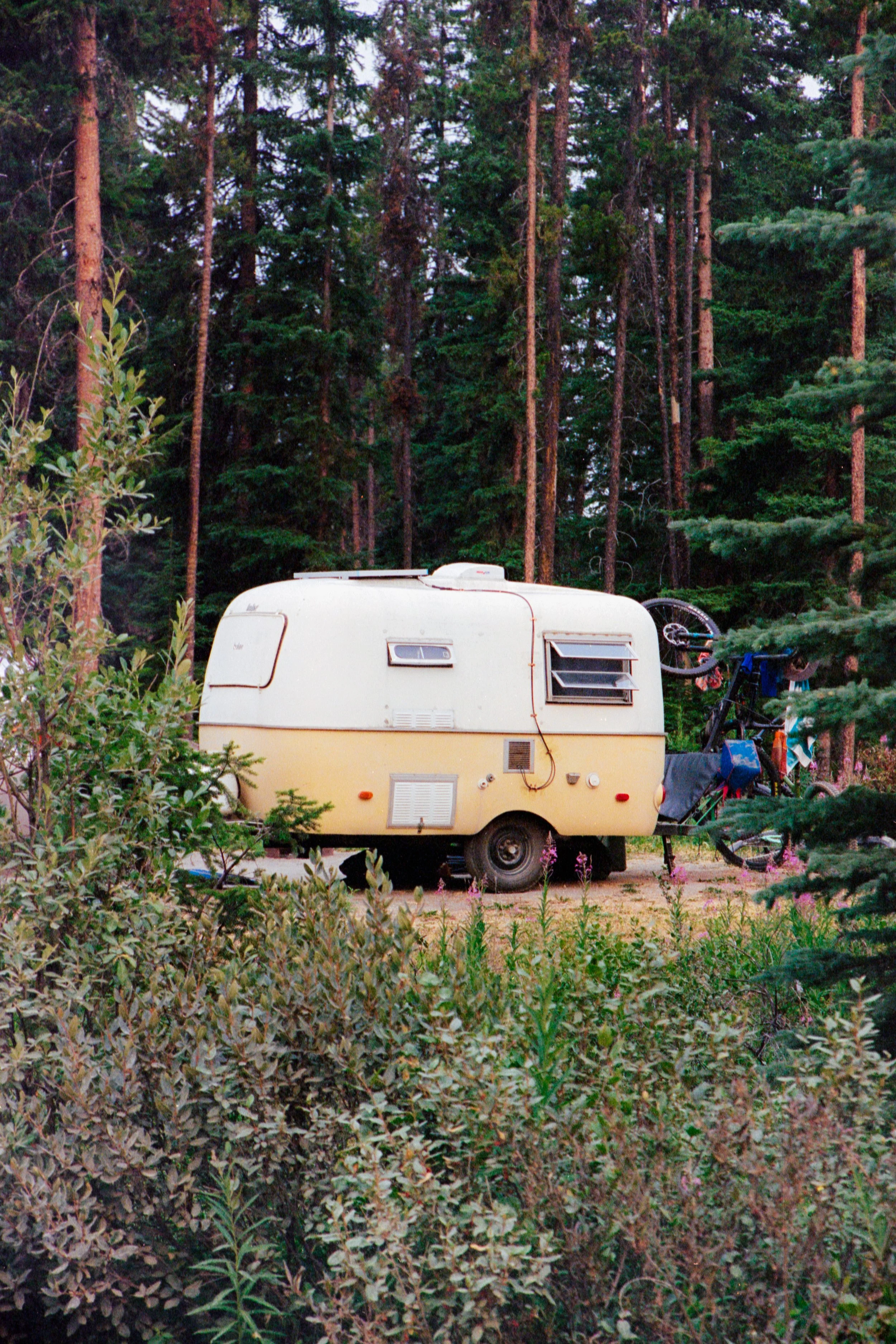 2024-07-29 - Portra.jpg