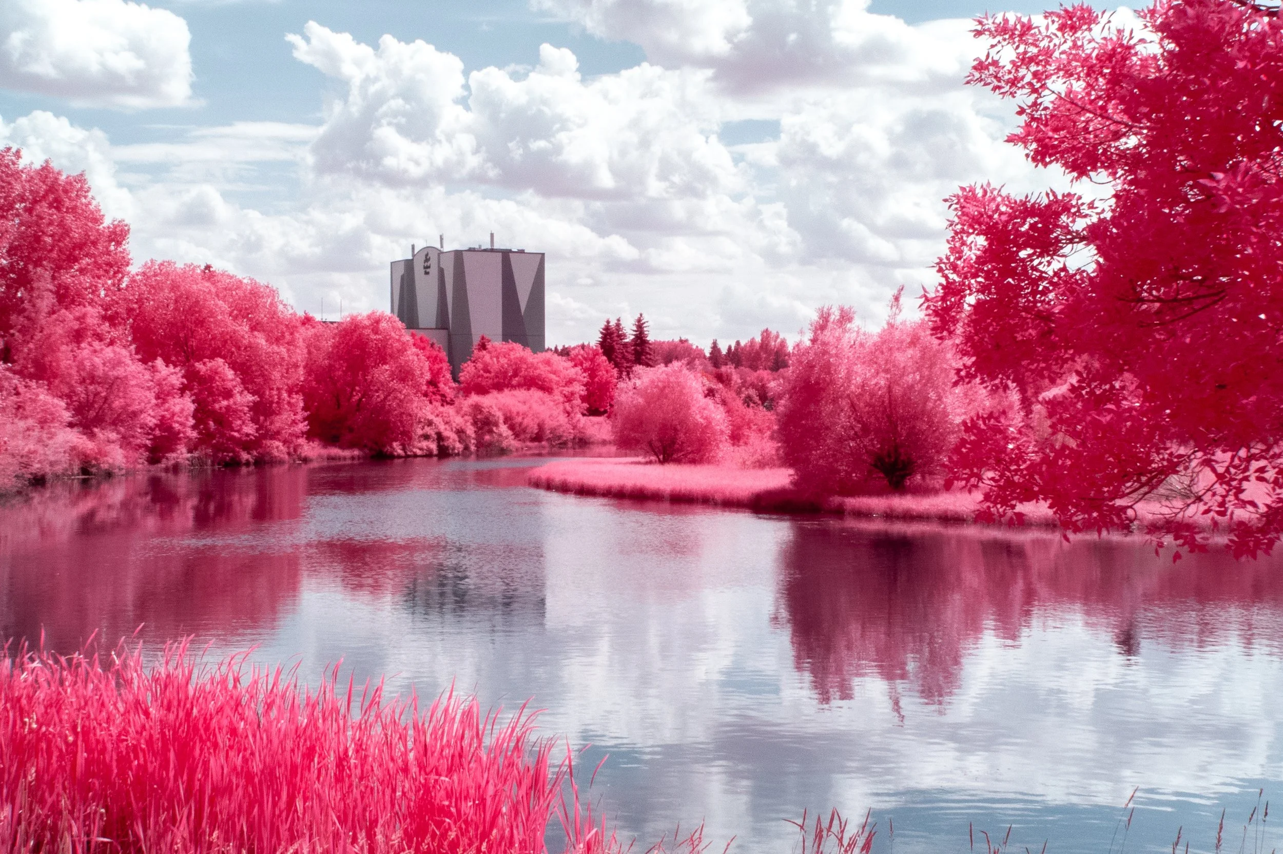 2025-07-05 - IR-2.jpg