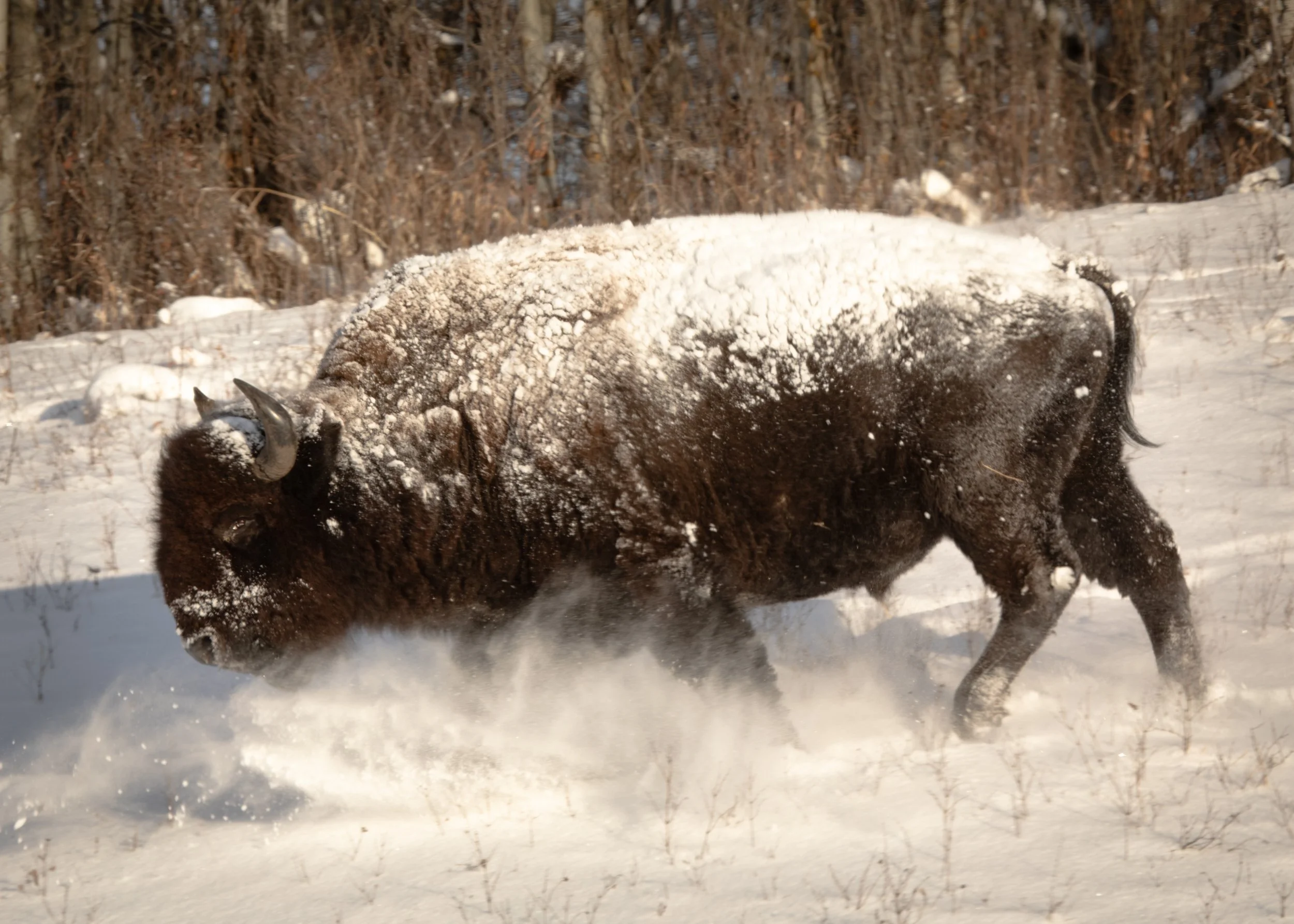 2025-12-12 - EINP-25.jpg