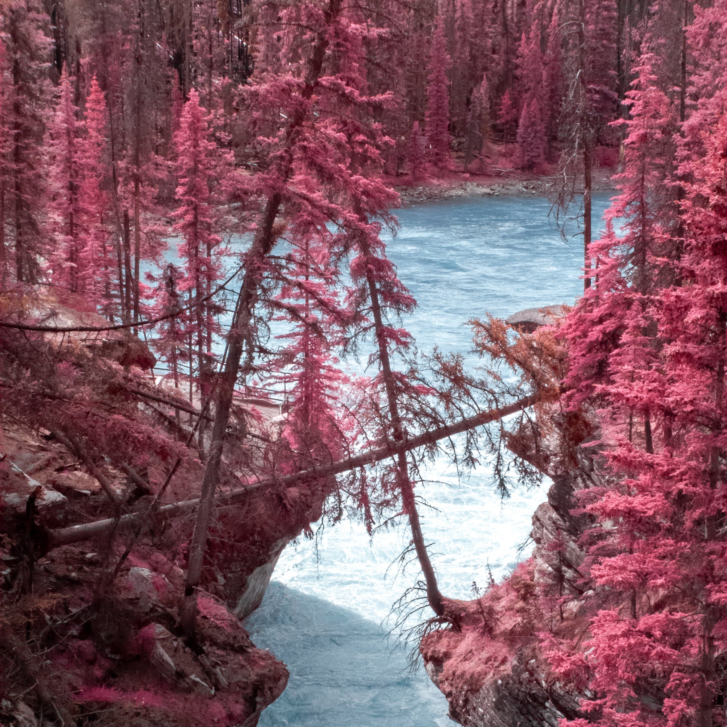 2025-05-26 - IR-9.jpg