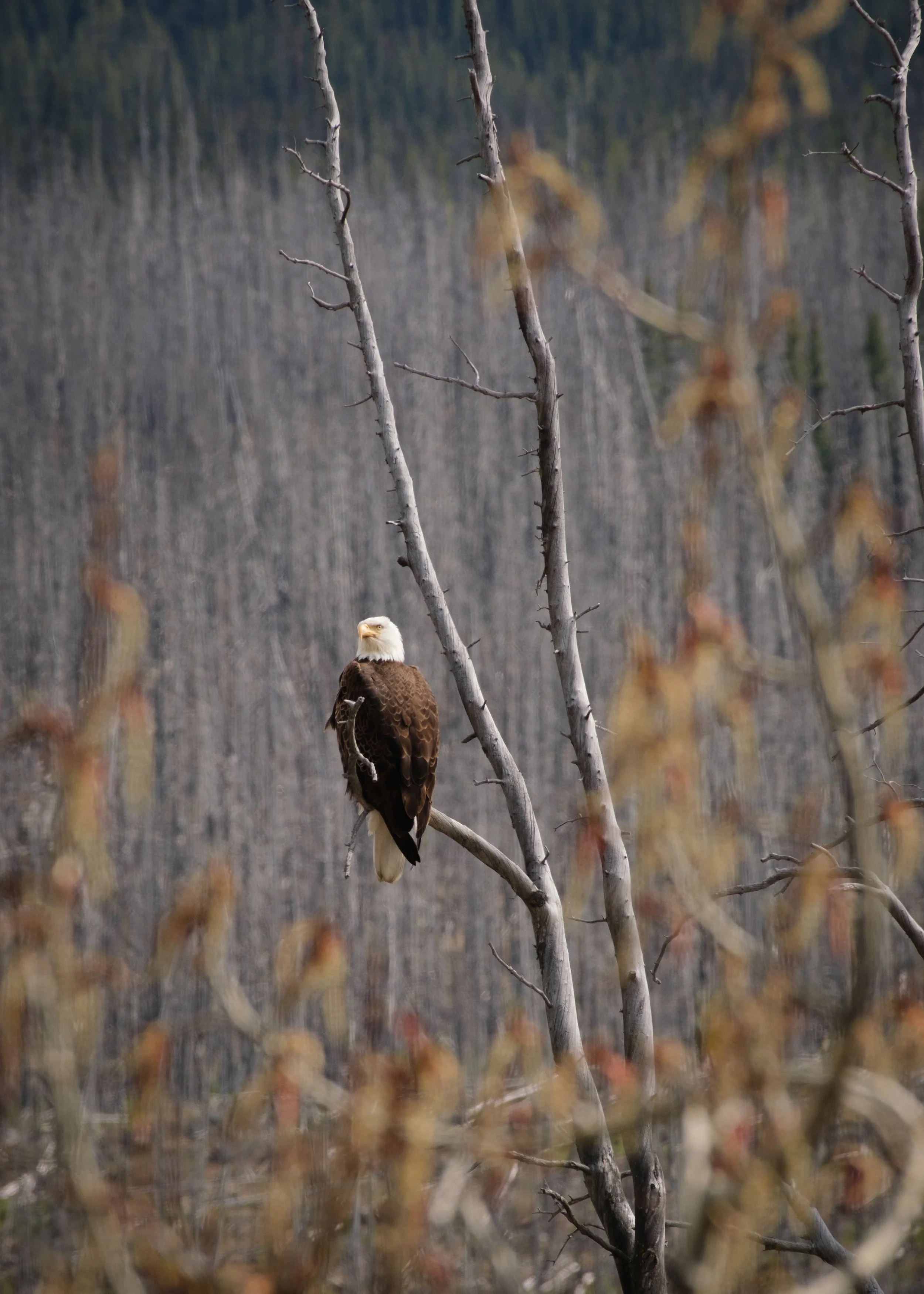 2025-12-01 - Sum-10.jpg