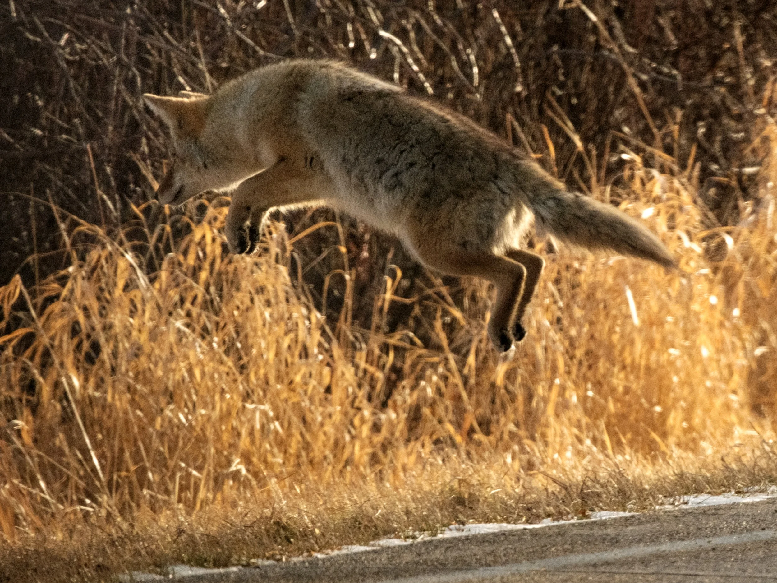 2025-11-19 - EINP-5.jpg