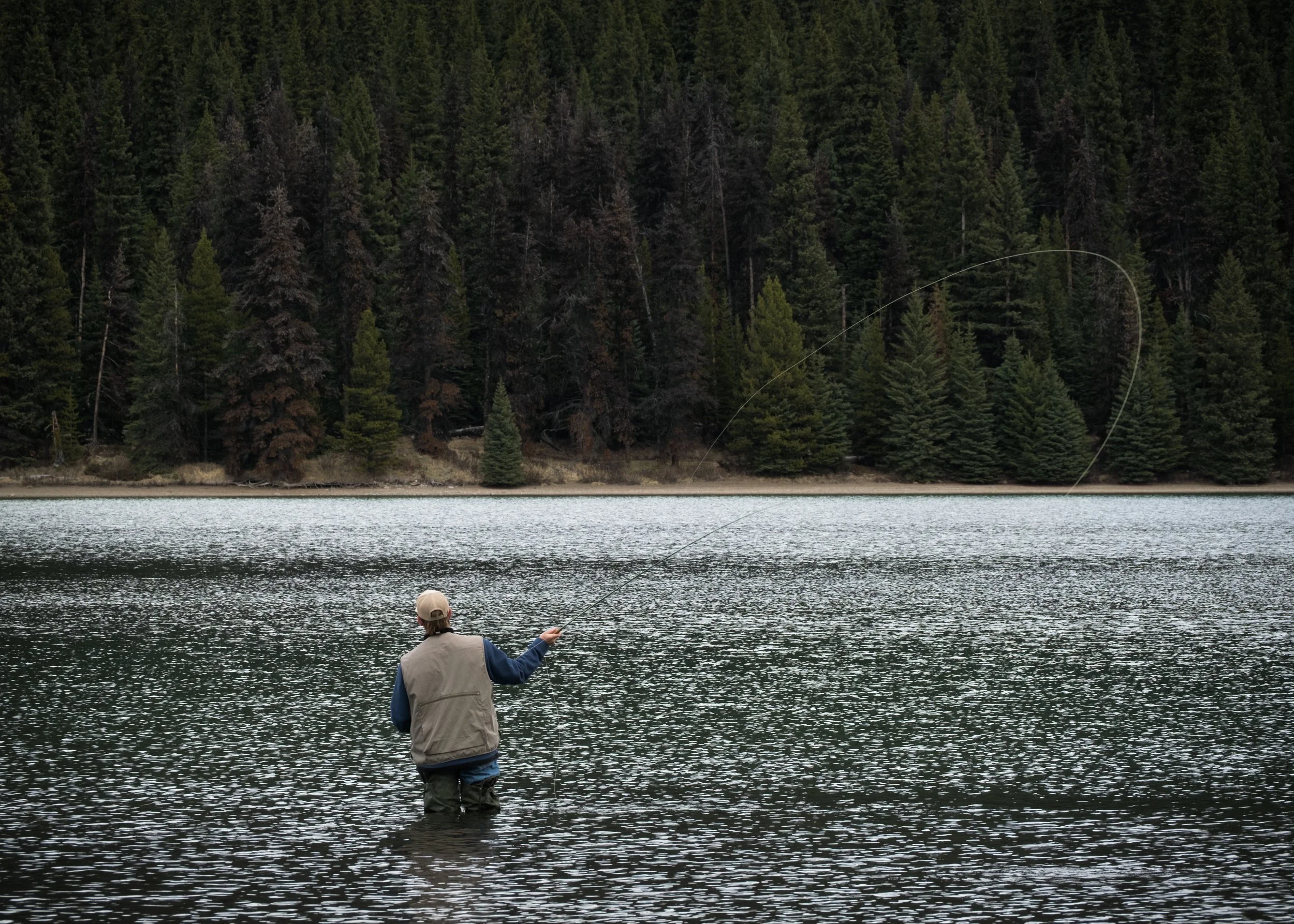 2025-12-01 - Sum-9.jpg