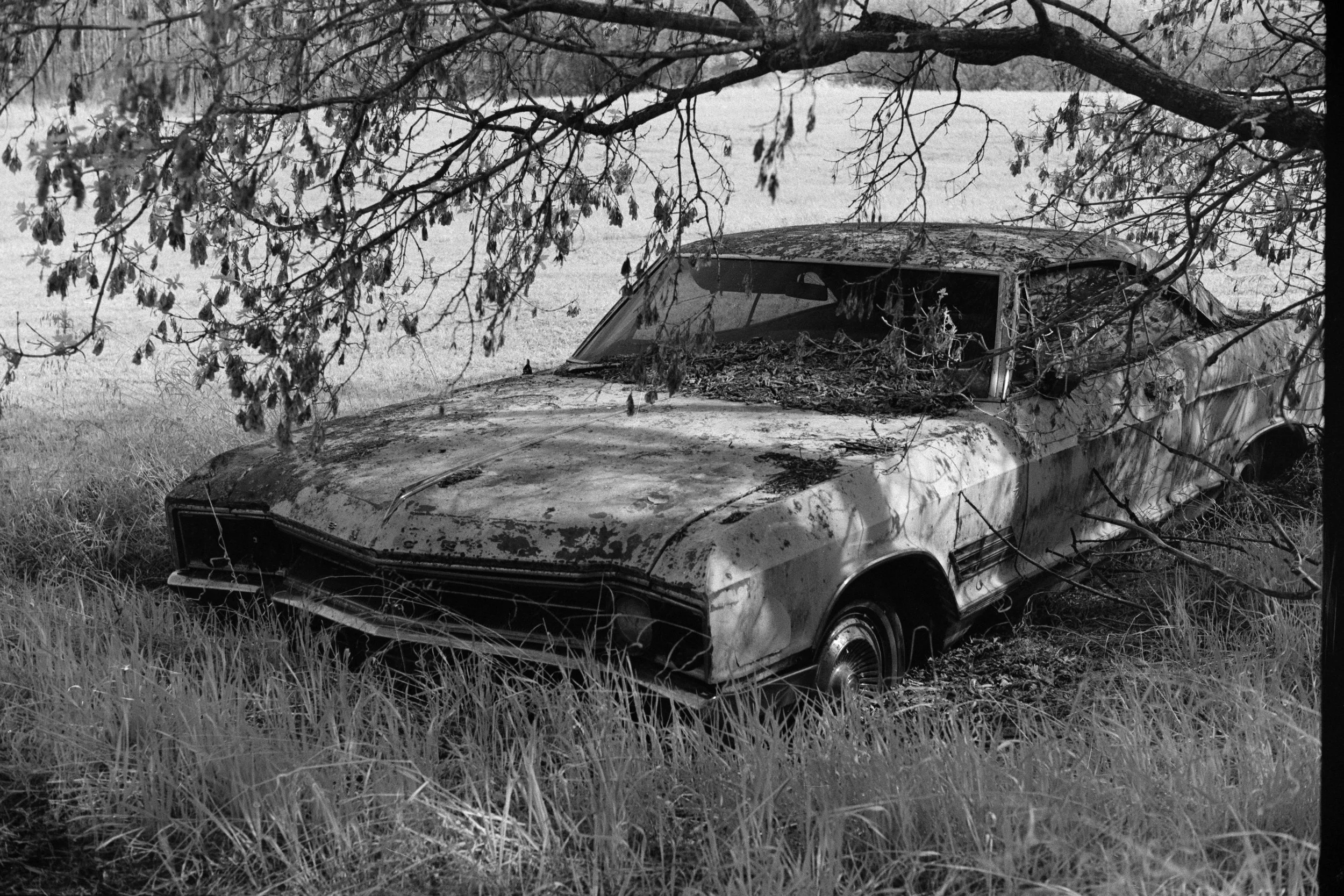 2024-07-29 - RolleiIR-4.jpg