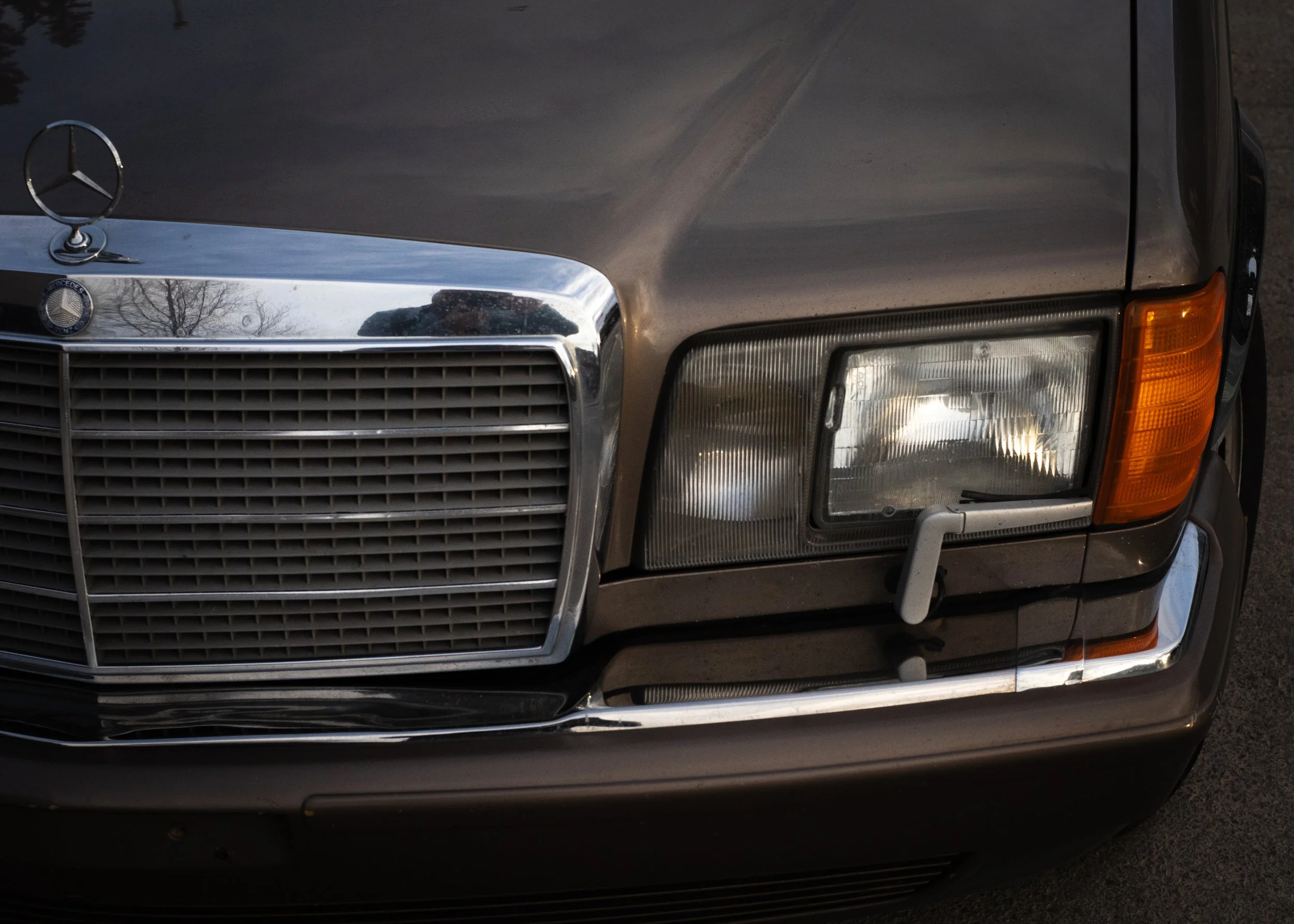 2026-07-29 - Merc.jpg