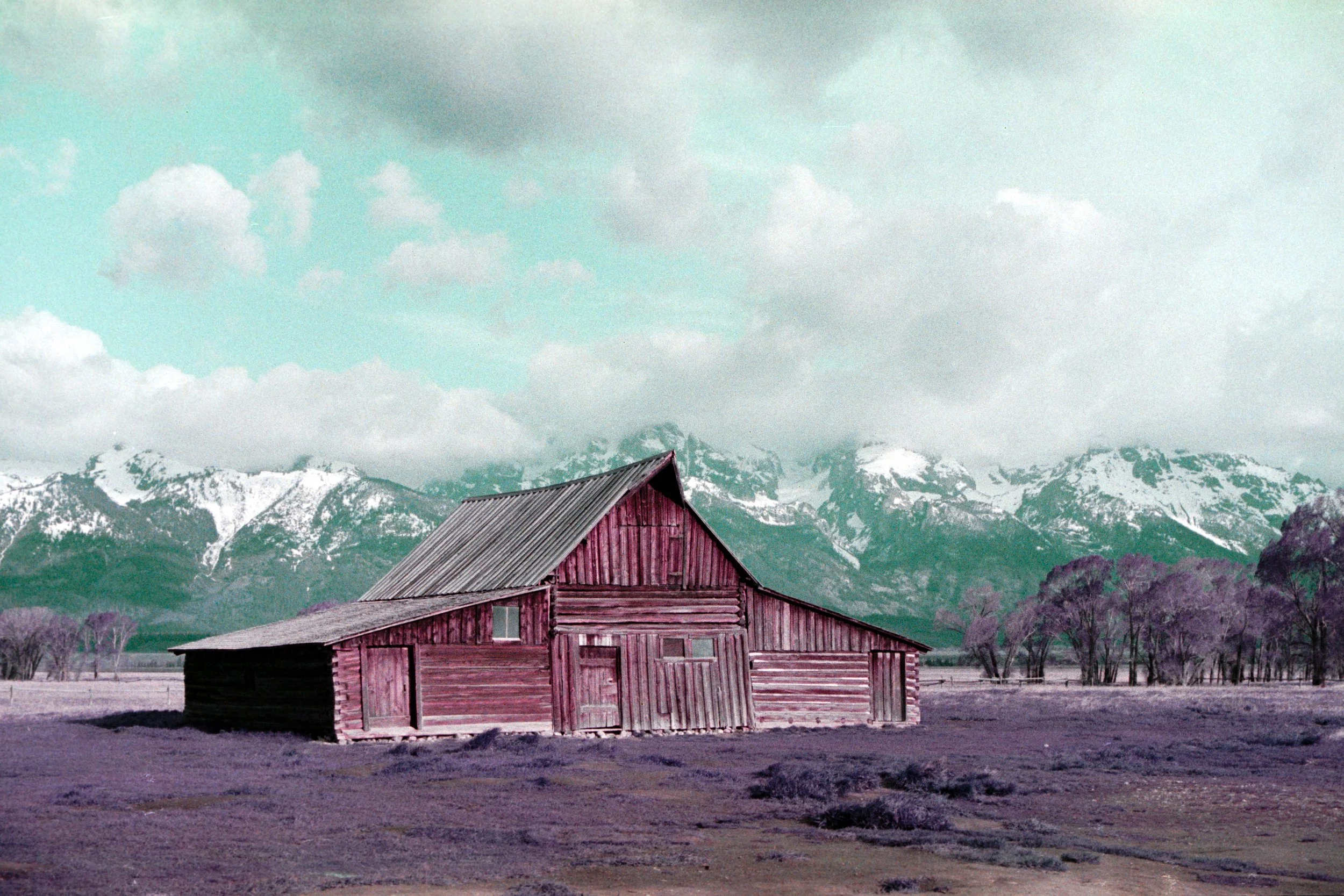 2024-07-09 - Purple-12.jpg