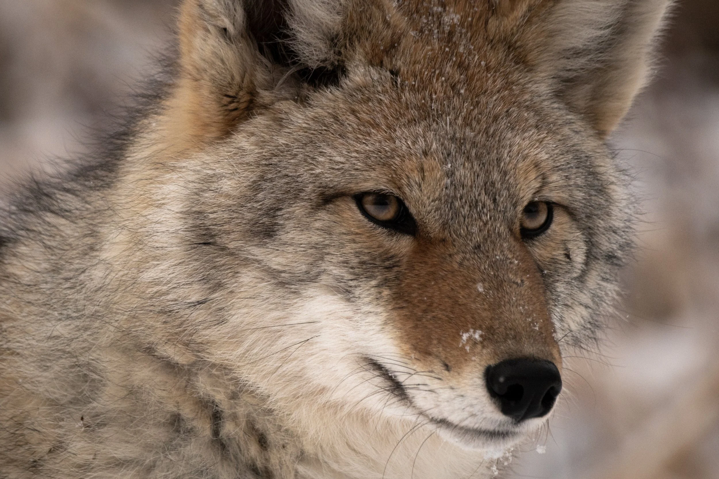 2025-12-01 - EINP-30.jpg