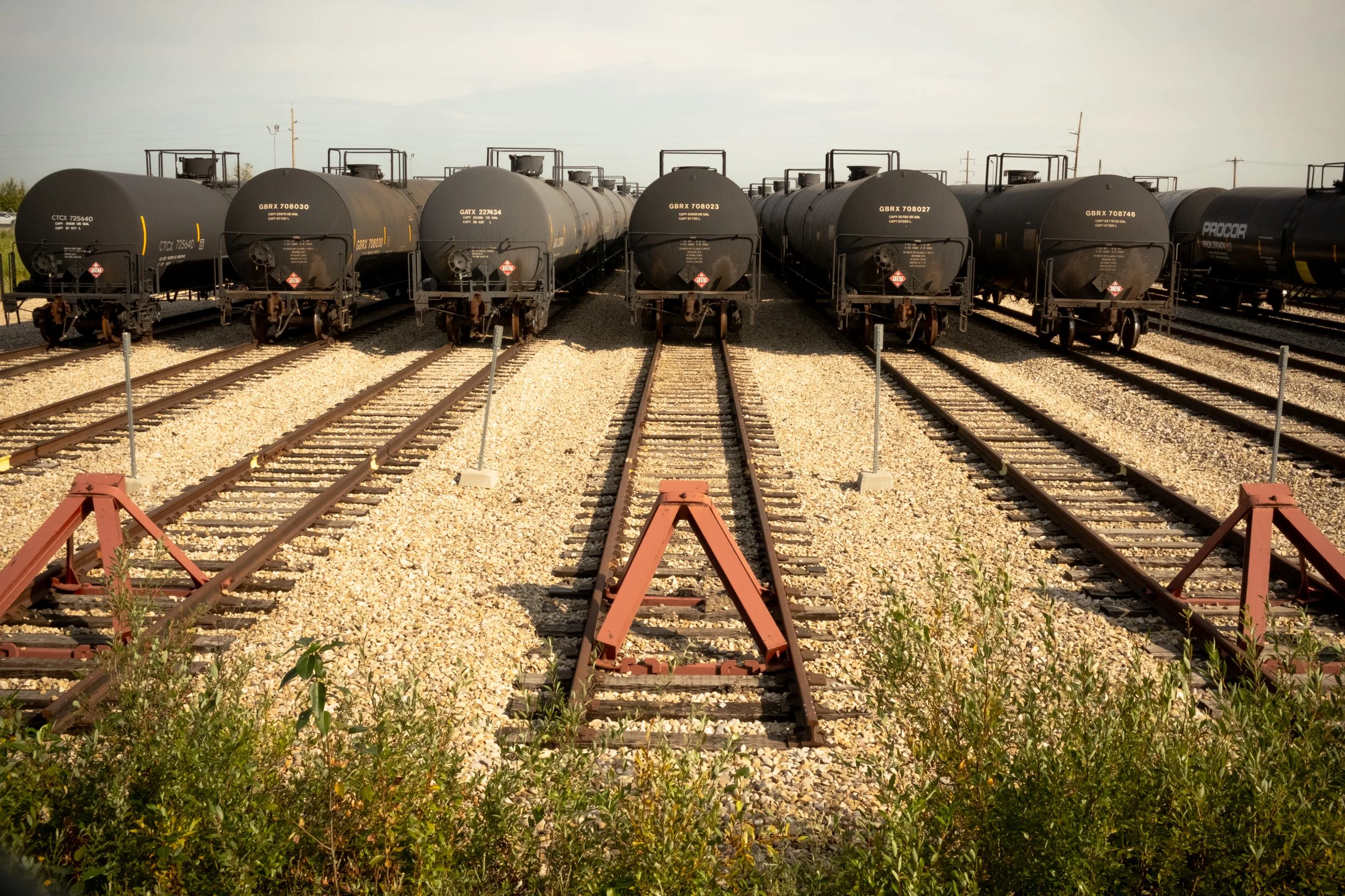 2026-08-13 - County Of-13.jpg