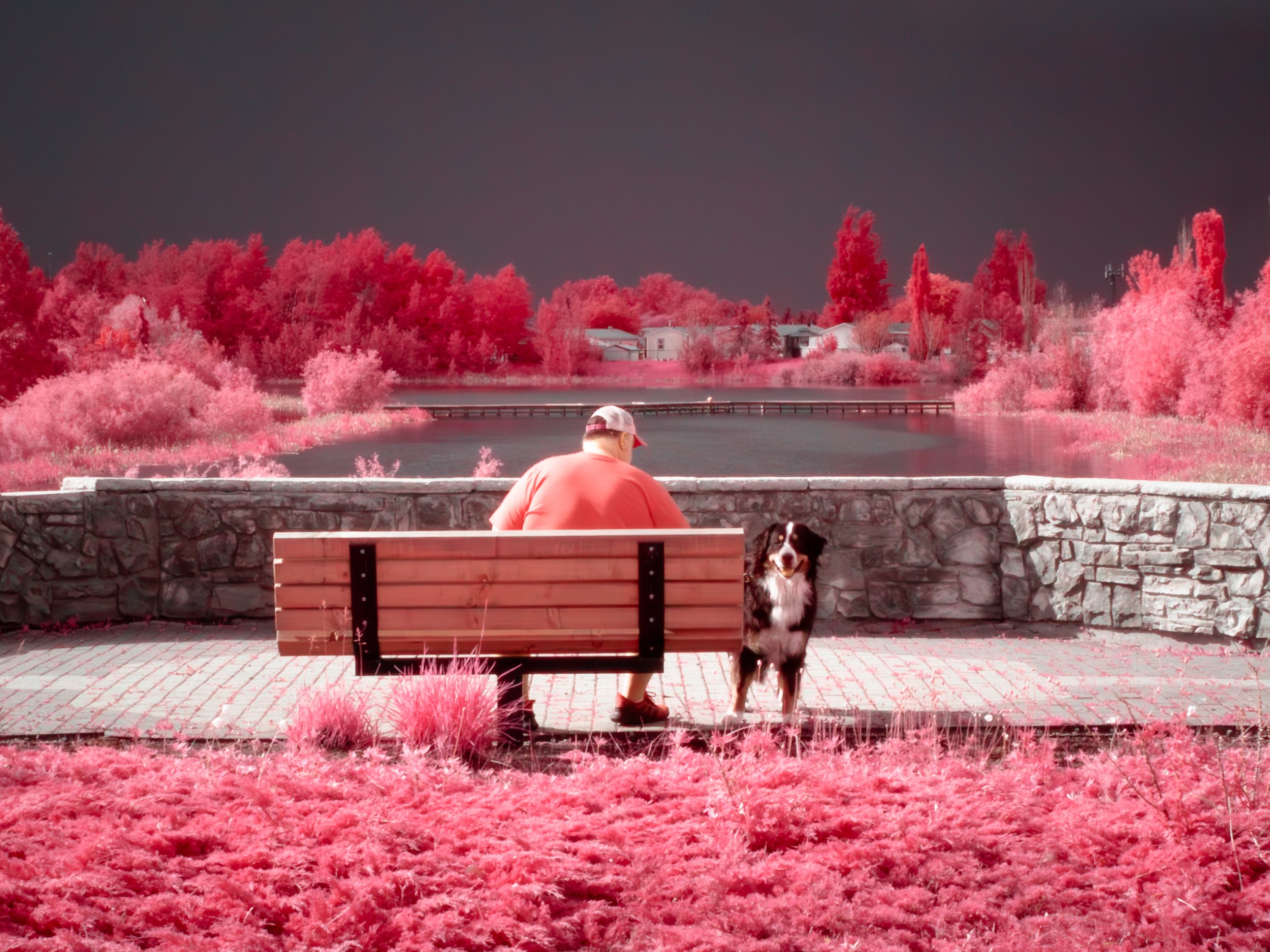 2026-05-17 - IR-2.jpg