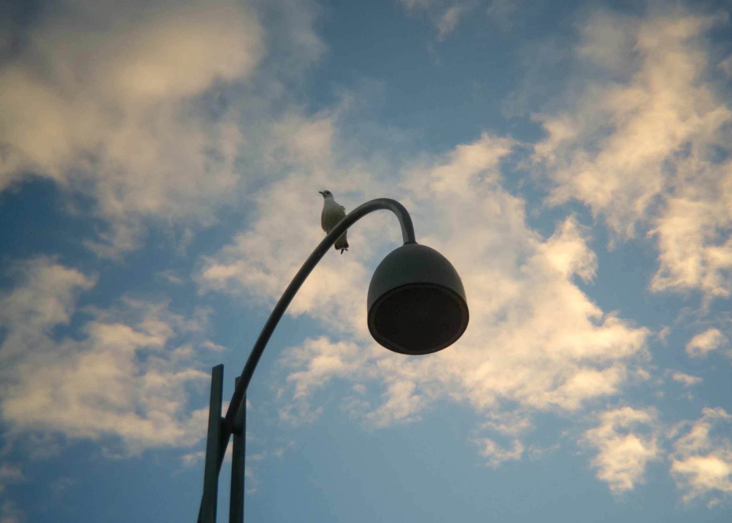 2025-09-03 - Pole.jpg