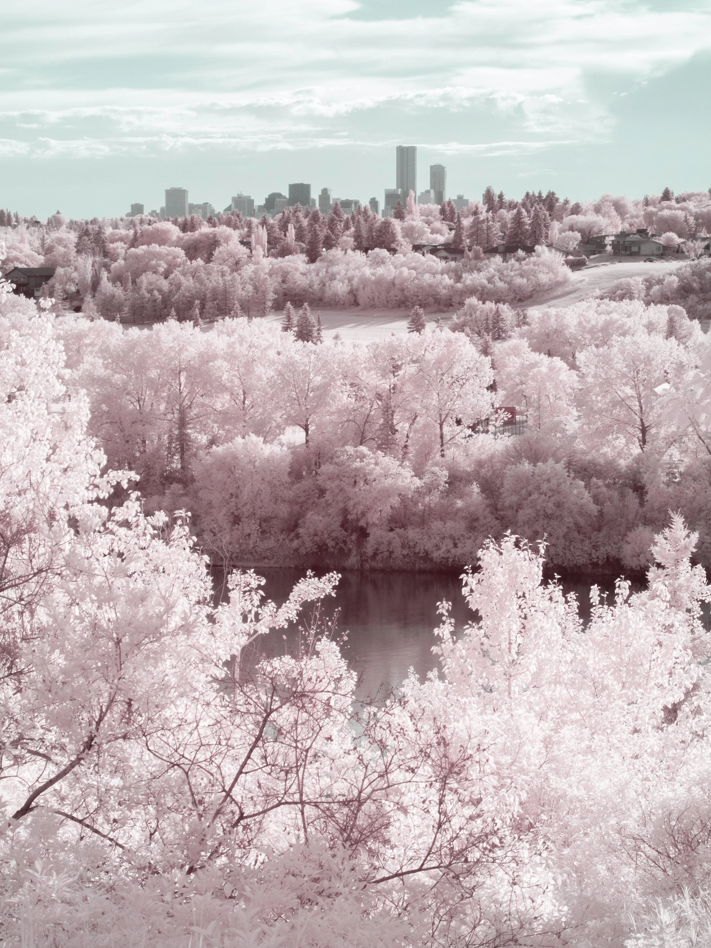 2024-06-17 - IR-5.jpg