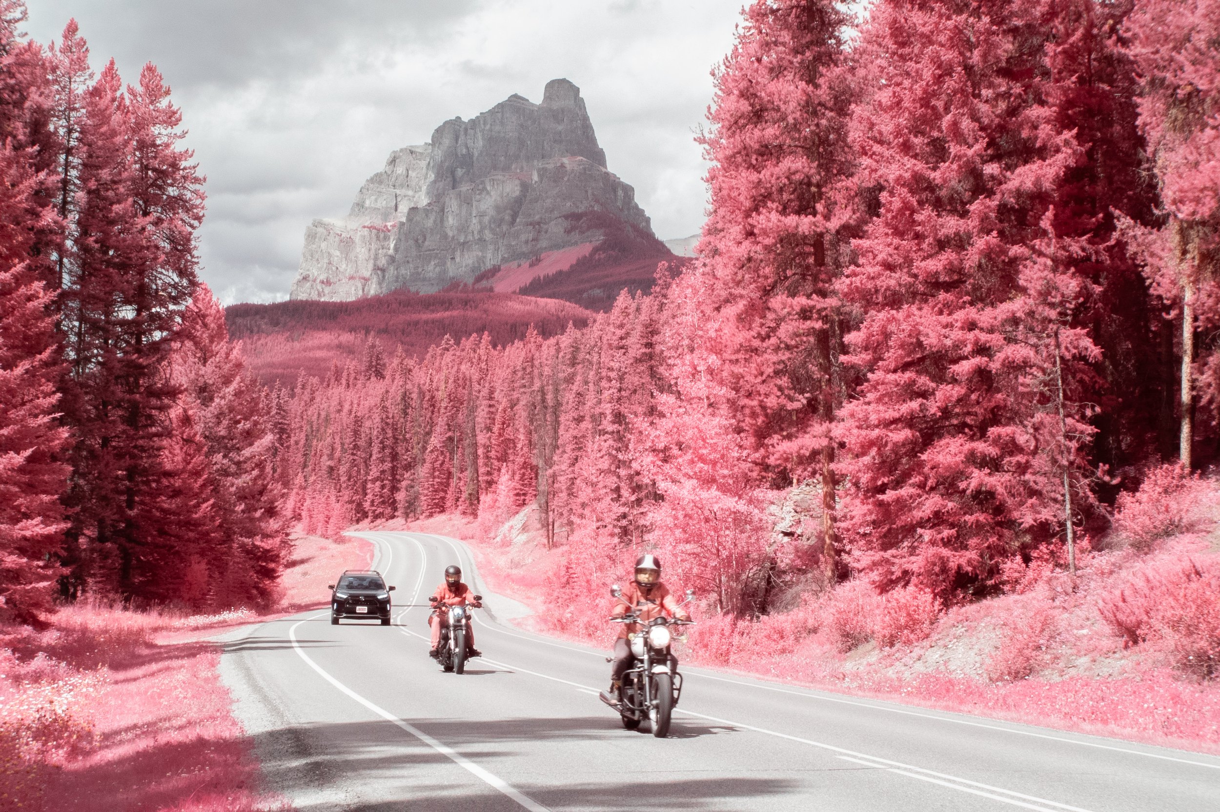 2025-08-11 - IR-4.jpg