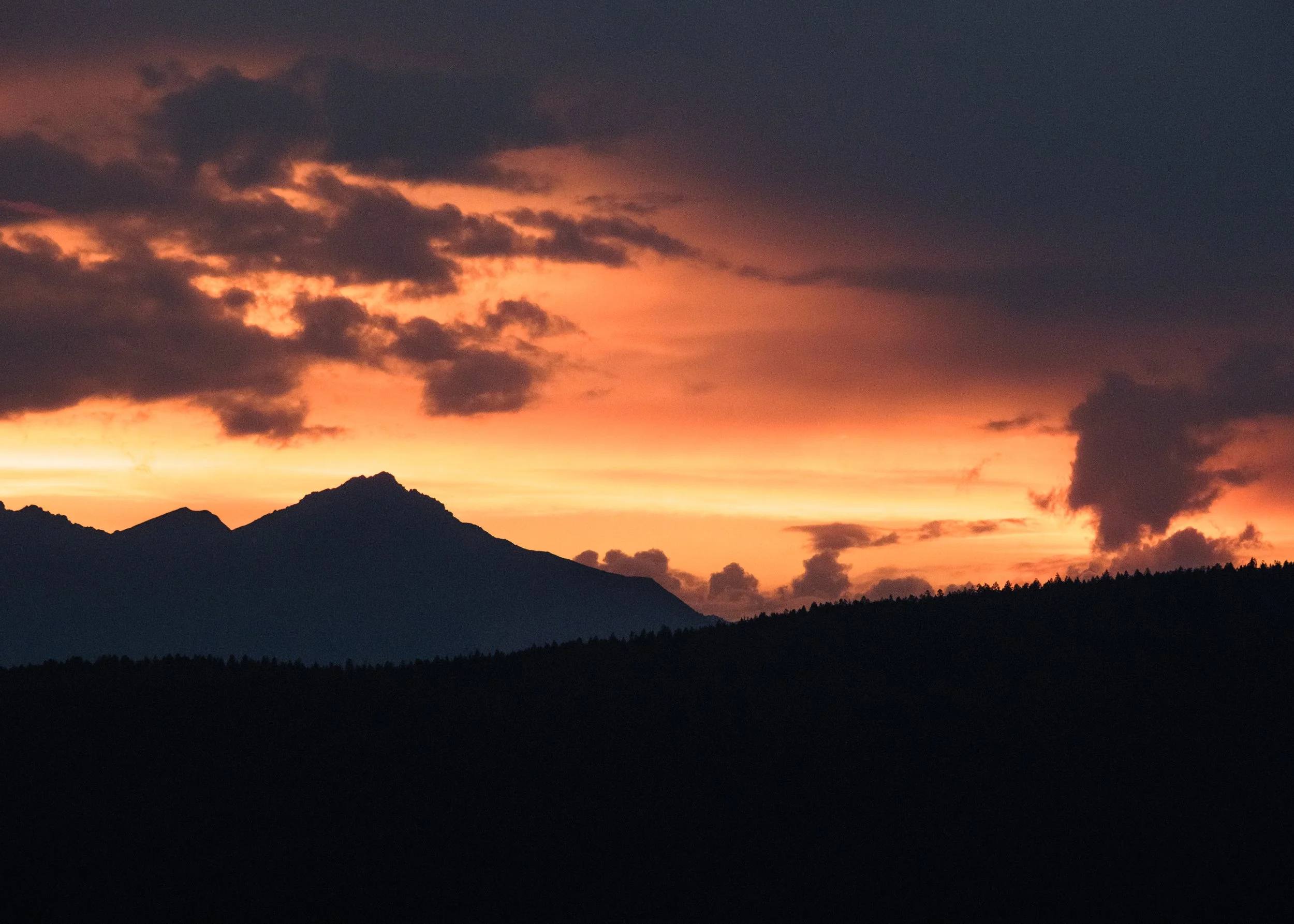 2025-12-27 - PRINT SING 2x3-11.jpg