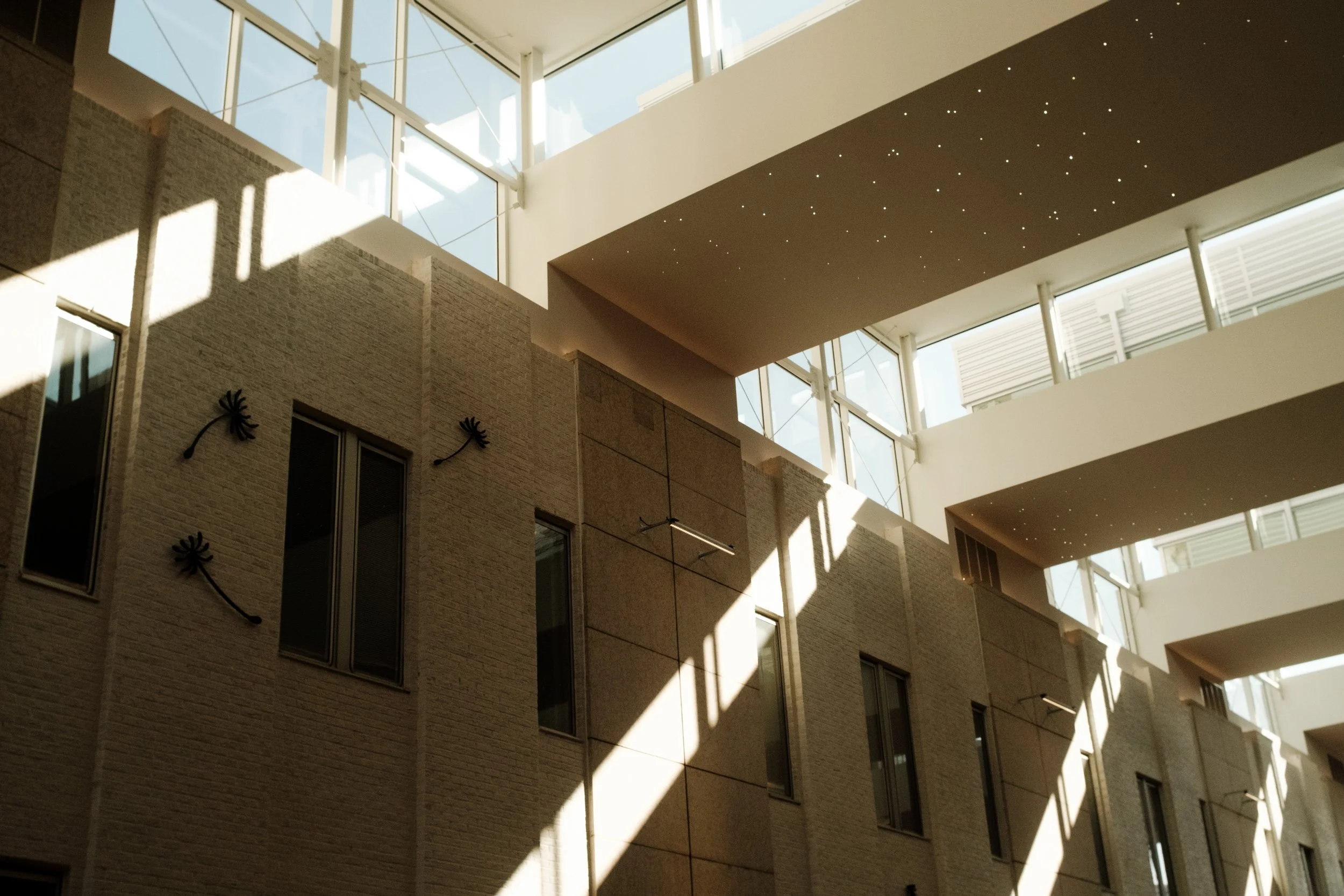 2025-09-03 - Window Light-5.jpg