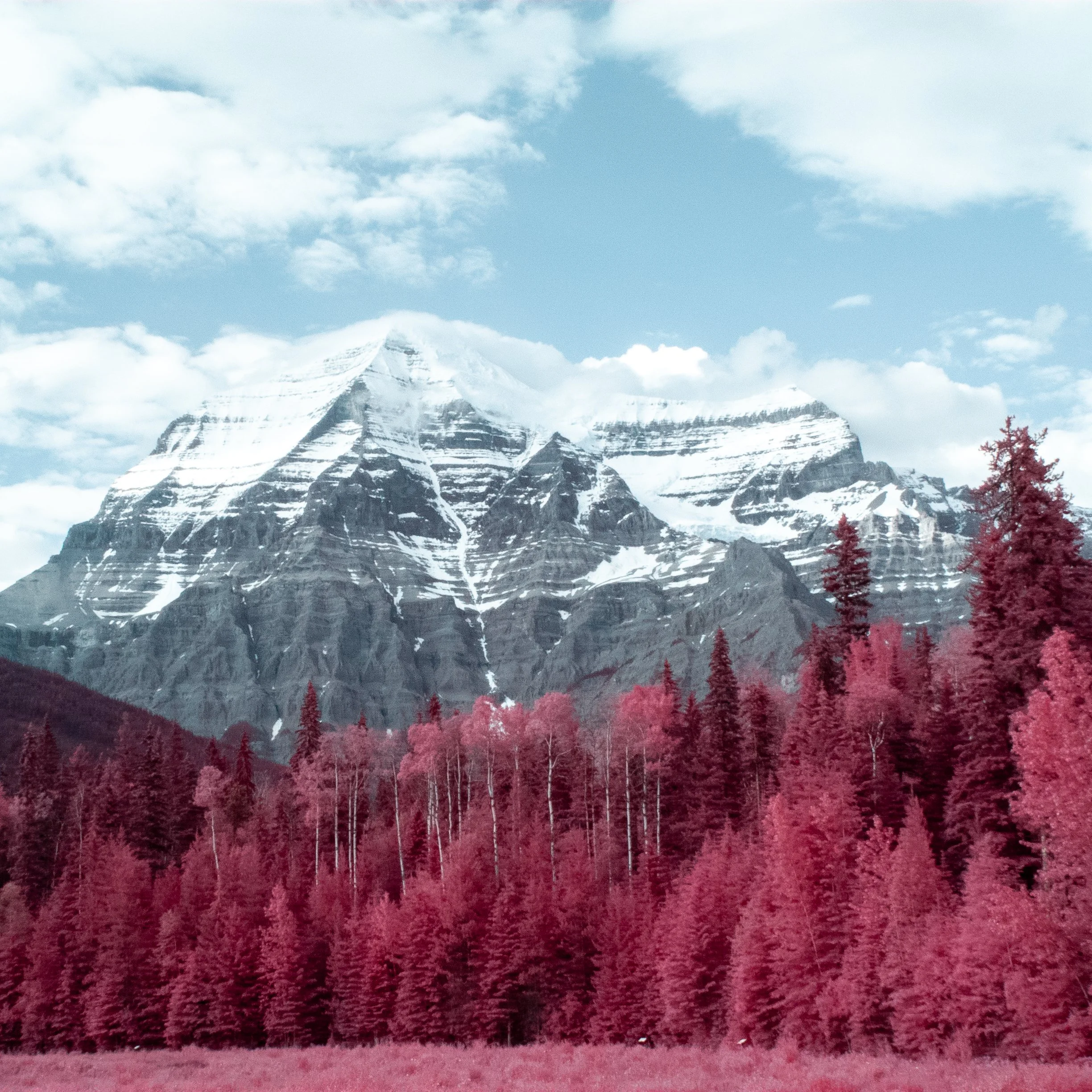 2025-05-26 - IR-2.jpg