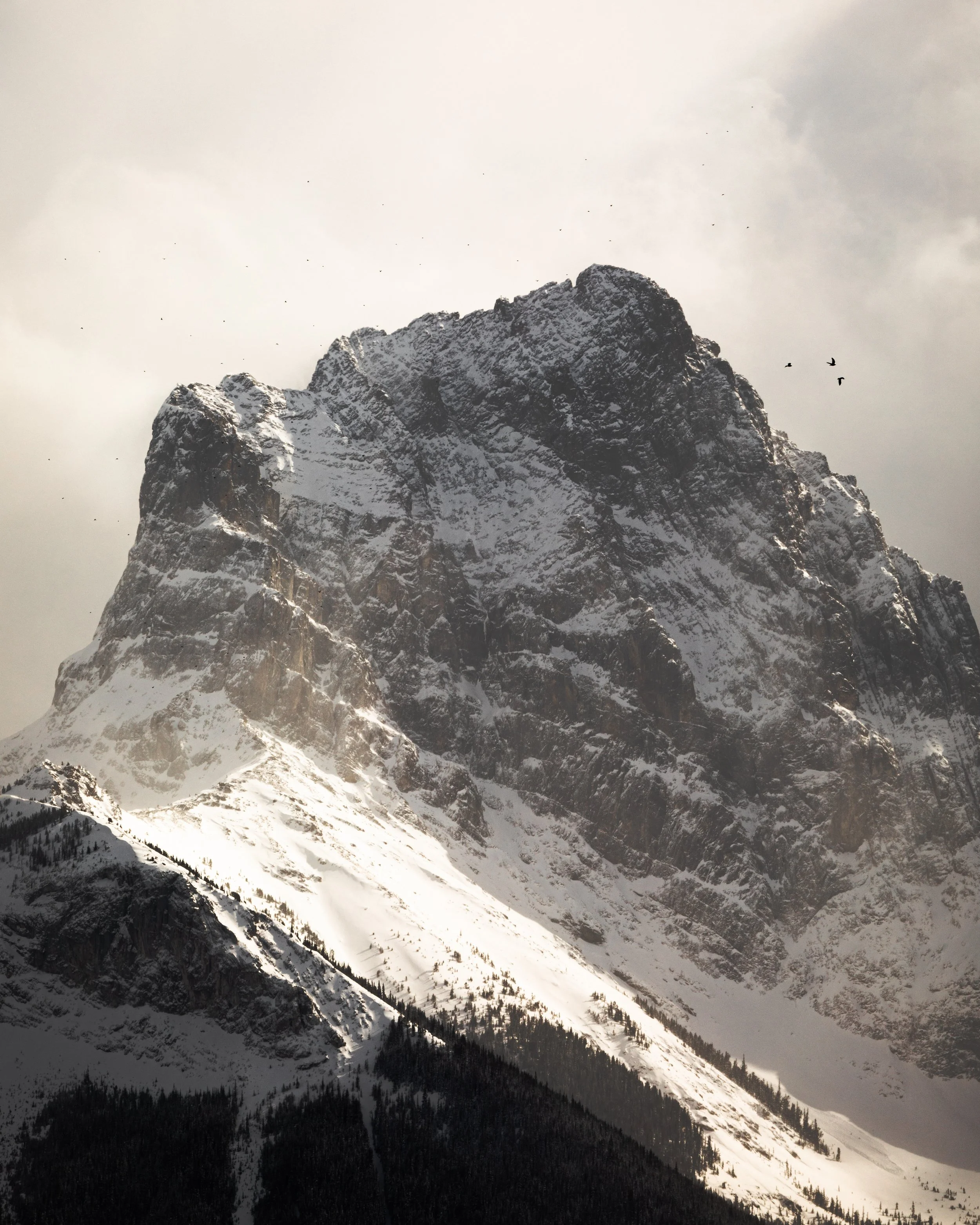 2022-02-11 - Peak.jpg