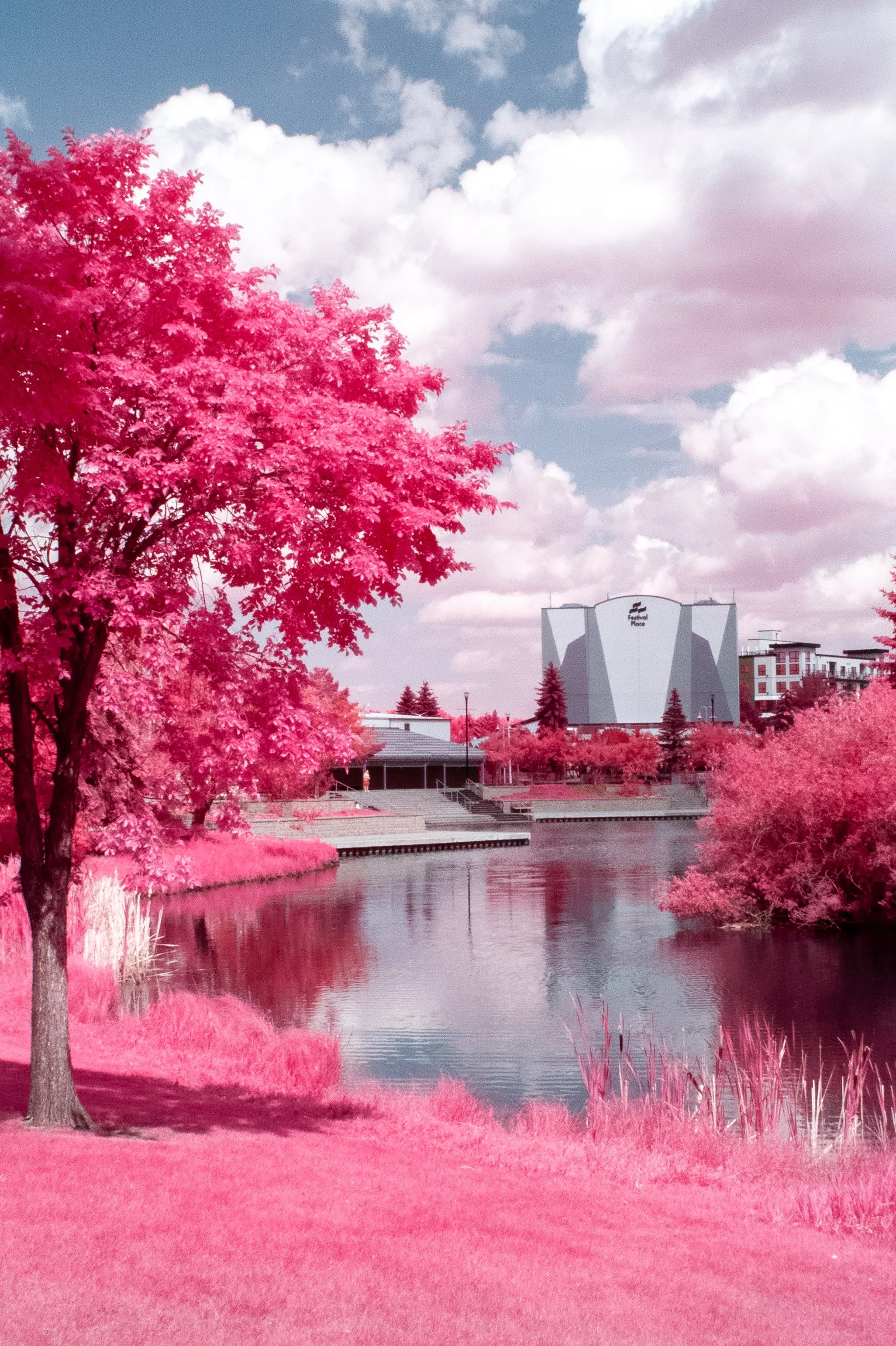 2025-07-05 - IR.jpg