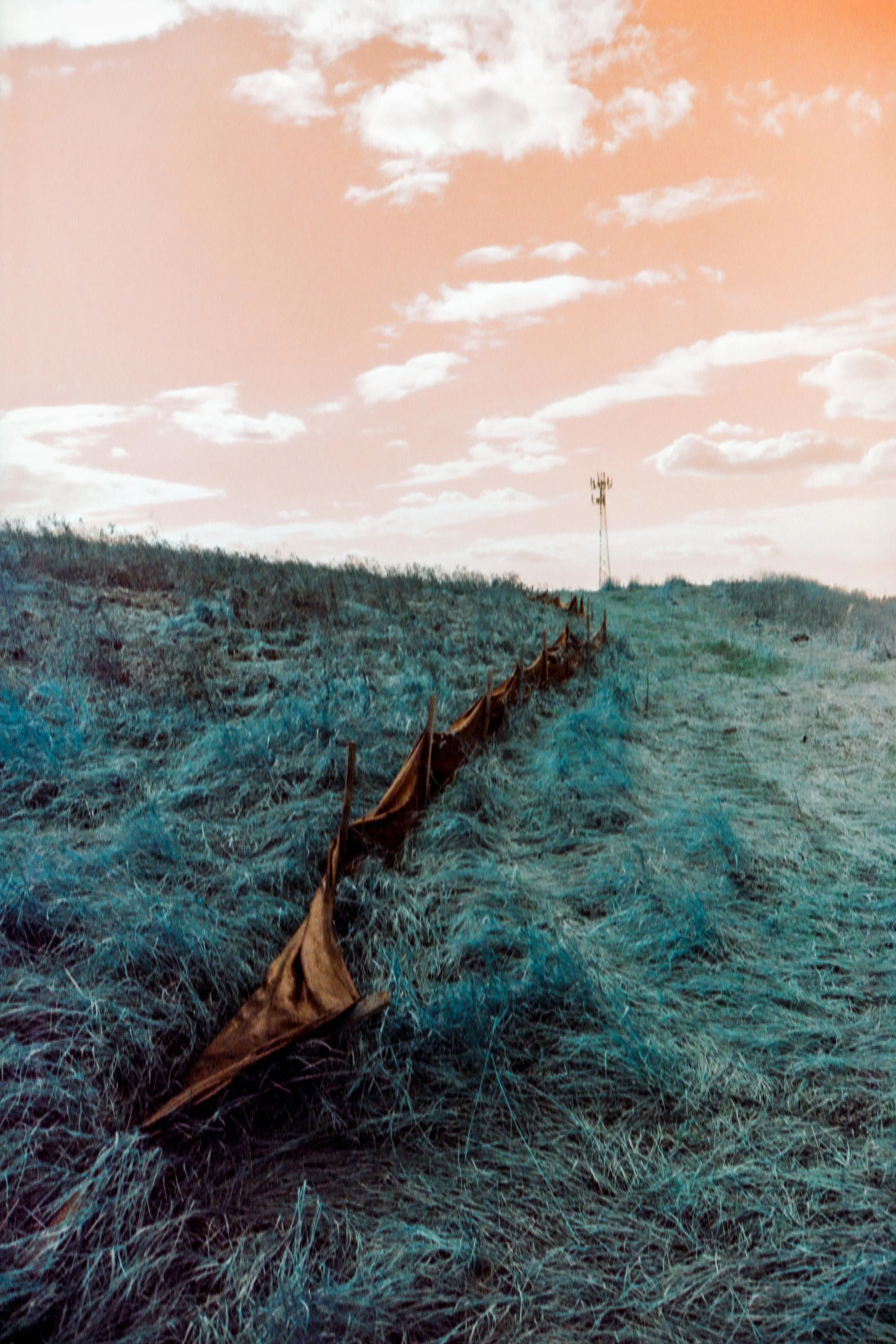 2024-05-24 - Lomo Turq-13.jpg