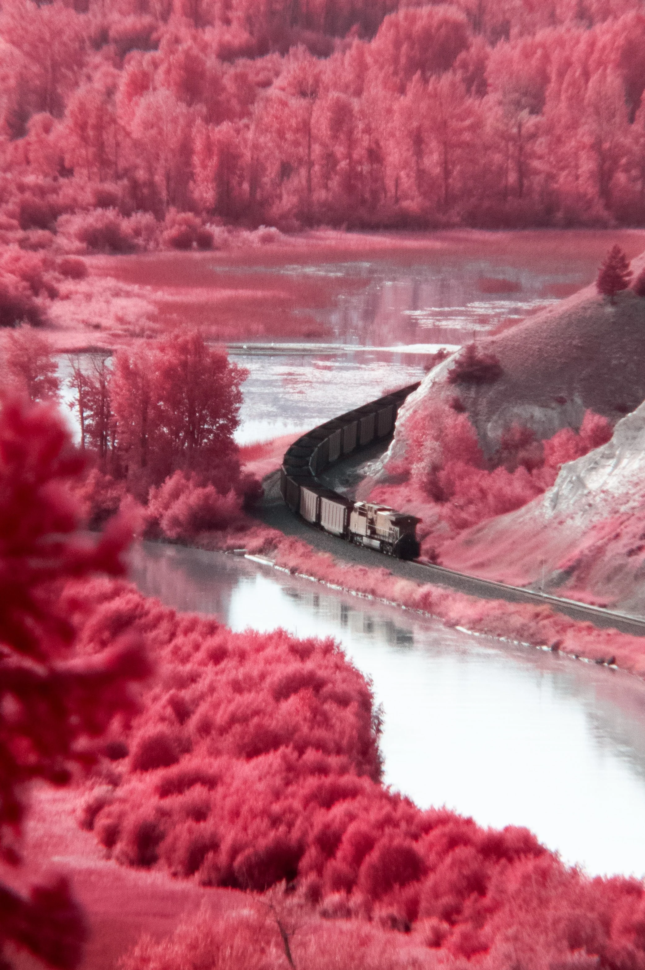 2025-08-03 - IR-3.jpg