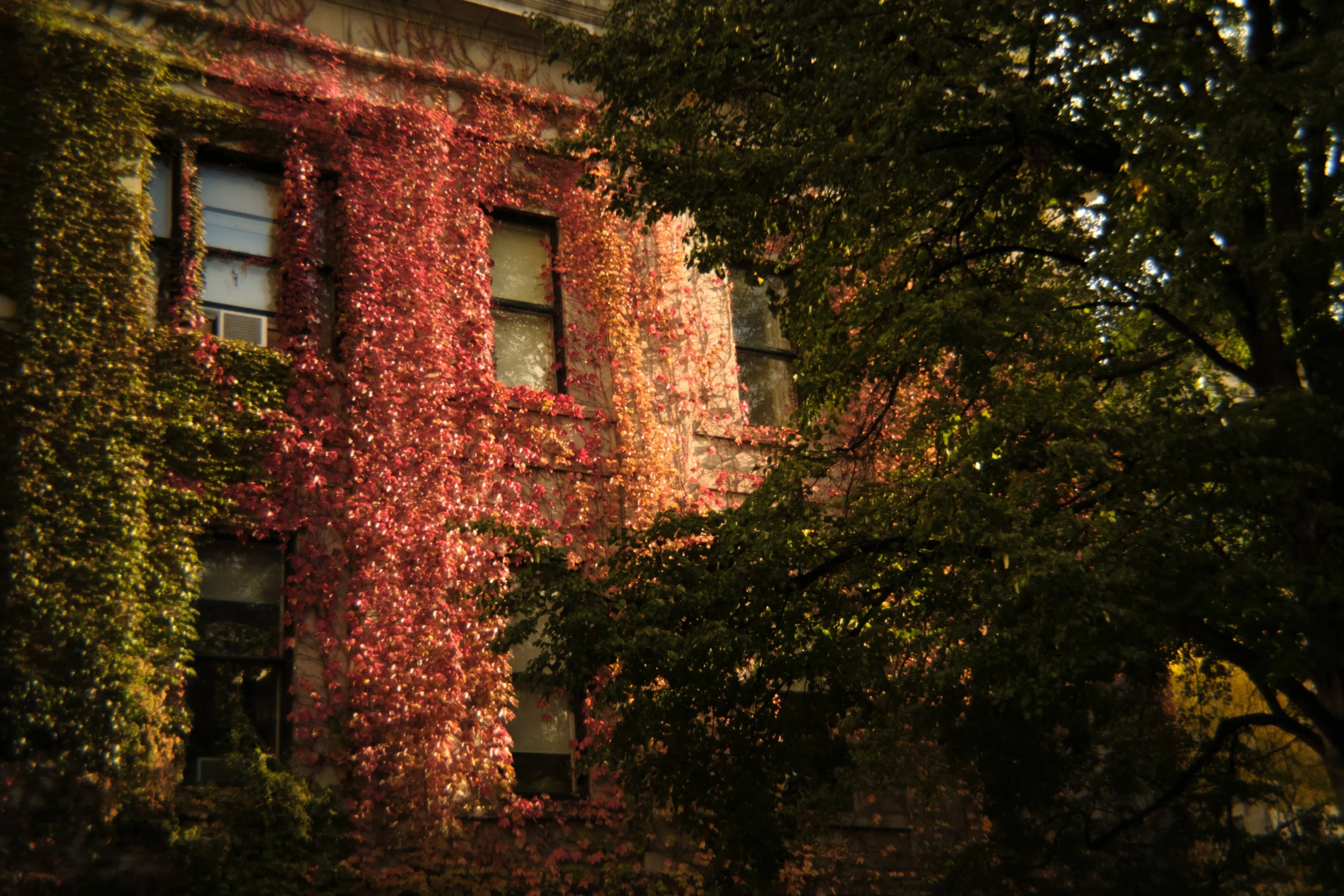 2025-12-12 - MTLMOR-4.jpg