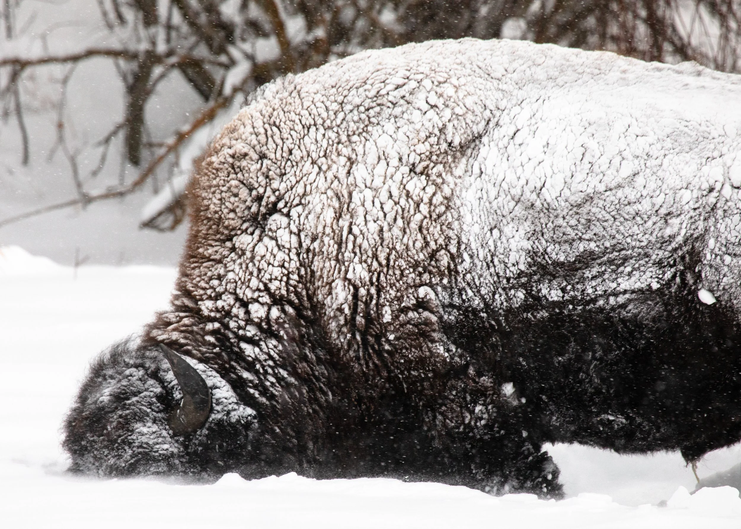 2025-12-27 - Buried.jpg