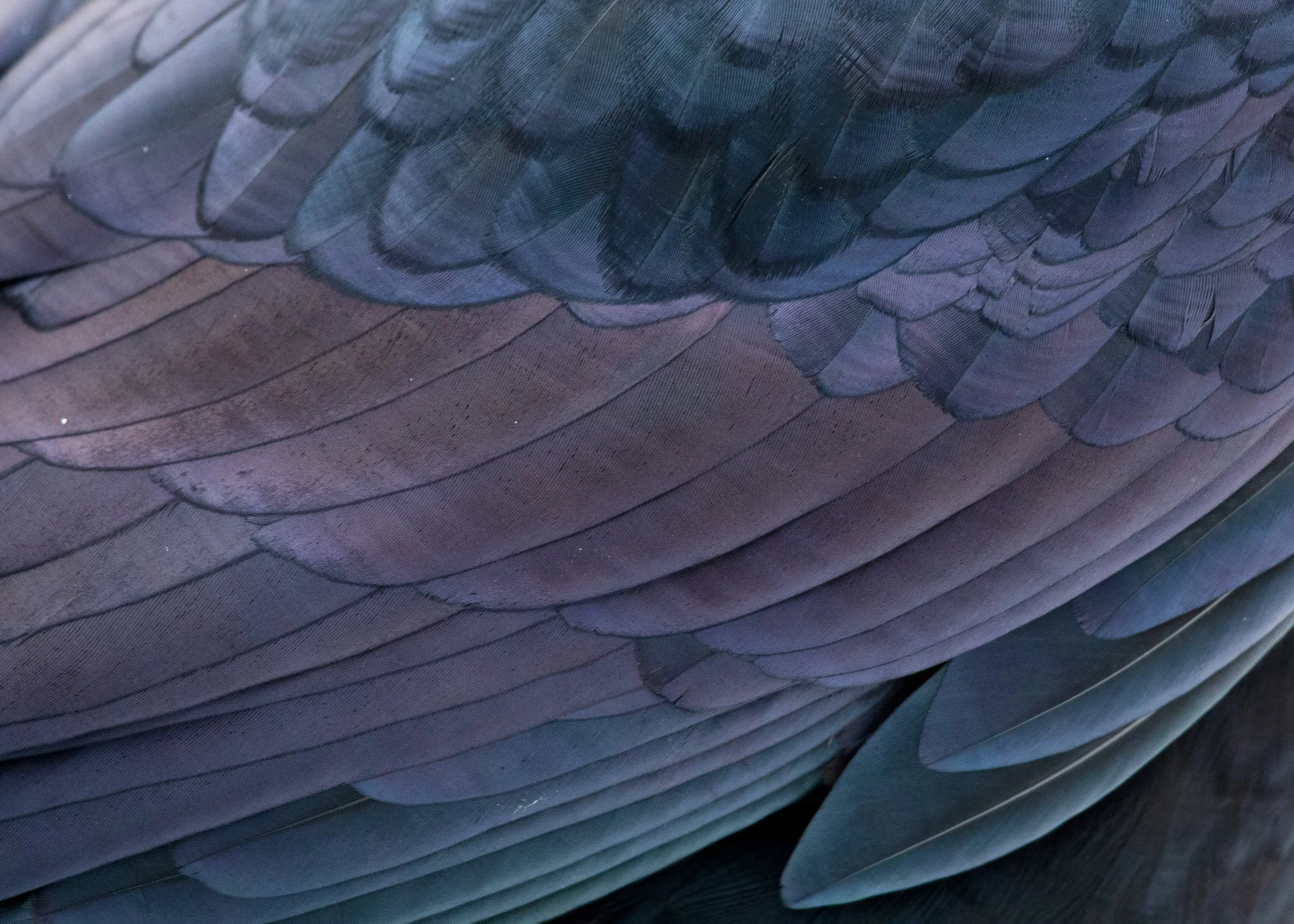 Banff National Park, AB