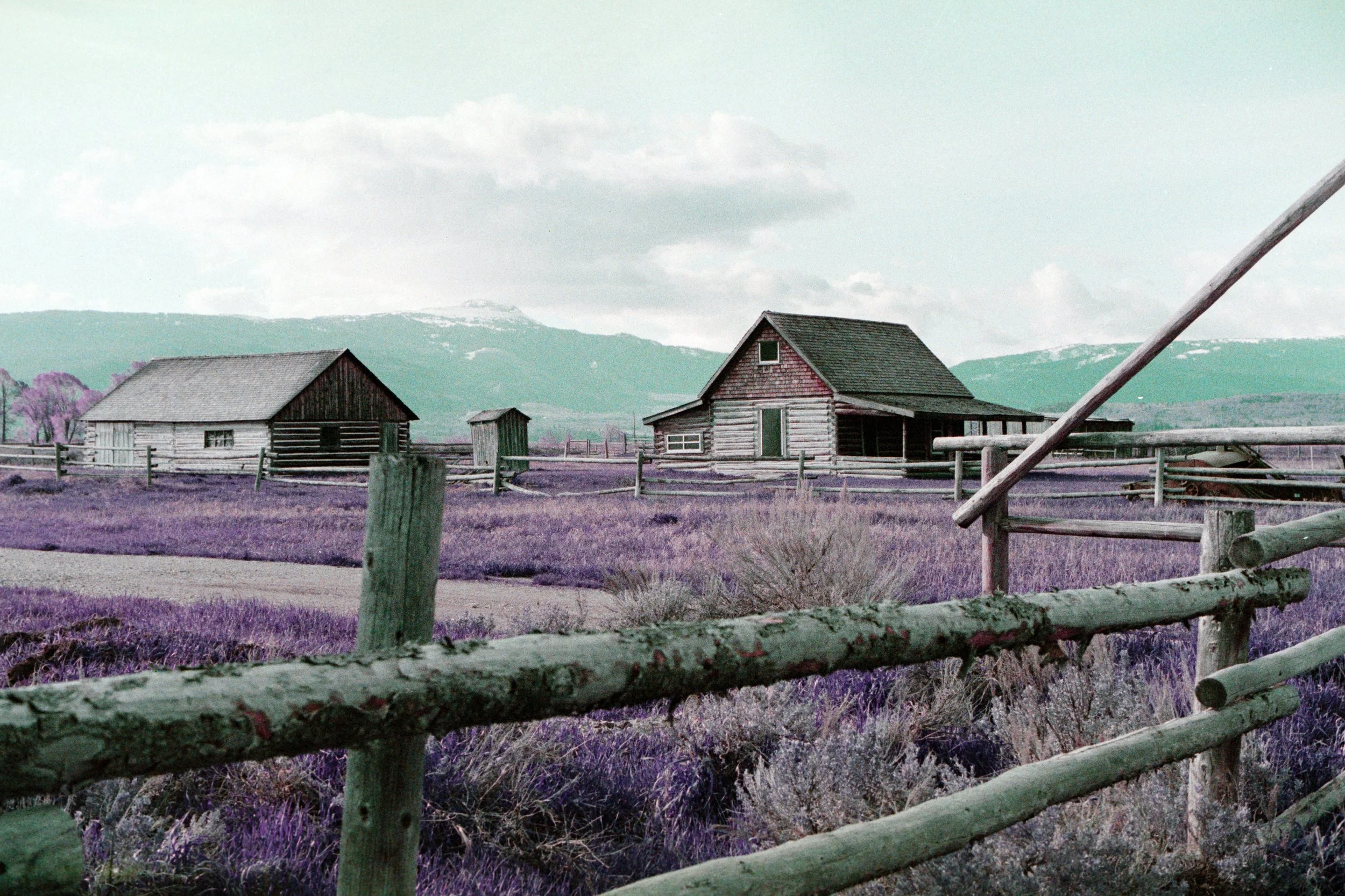 2024-07-09 - Purple-15.jpg