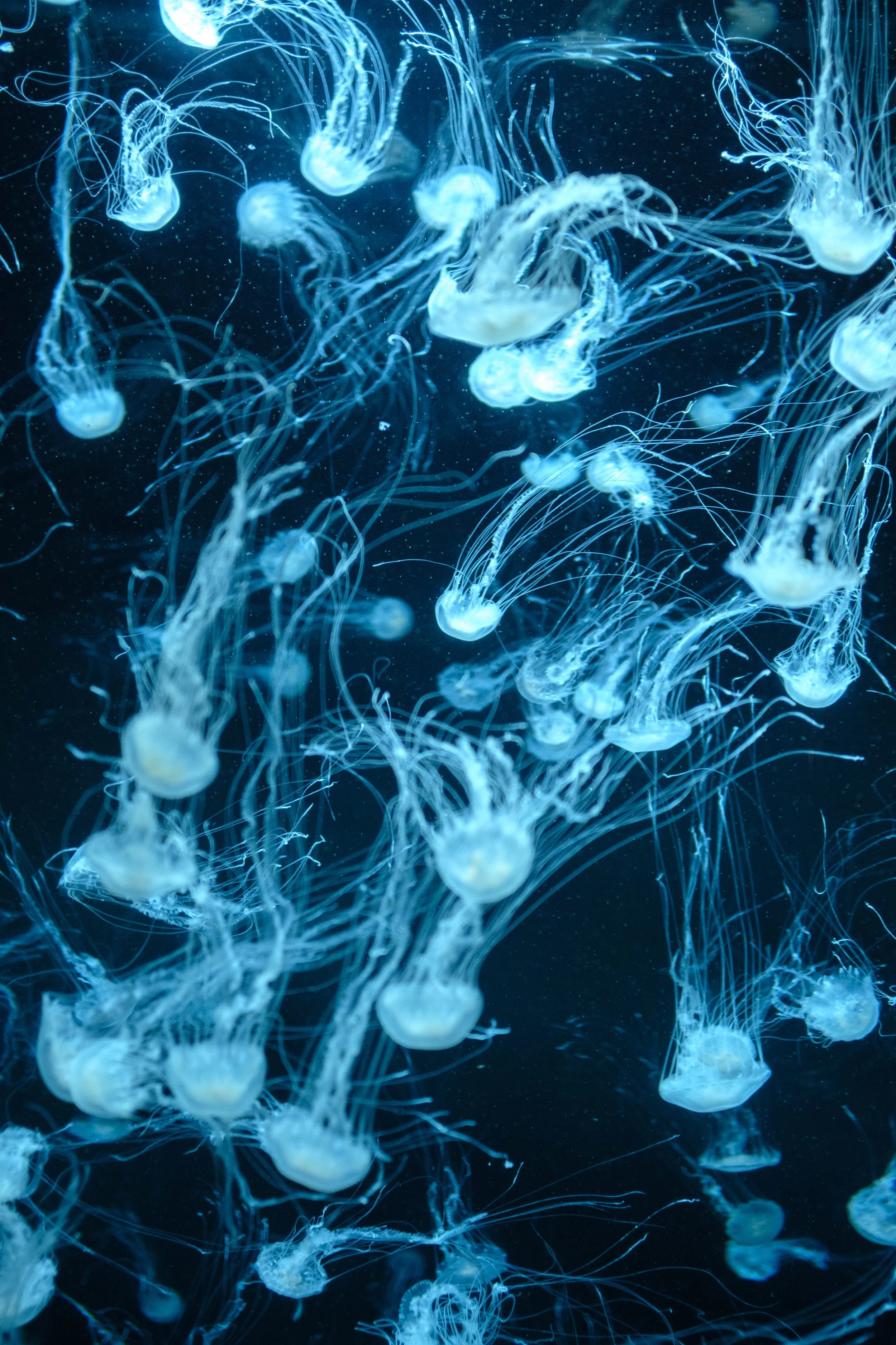 2025-05-26 - Singapore-3.jpg