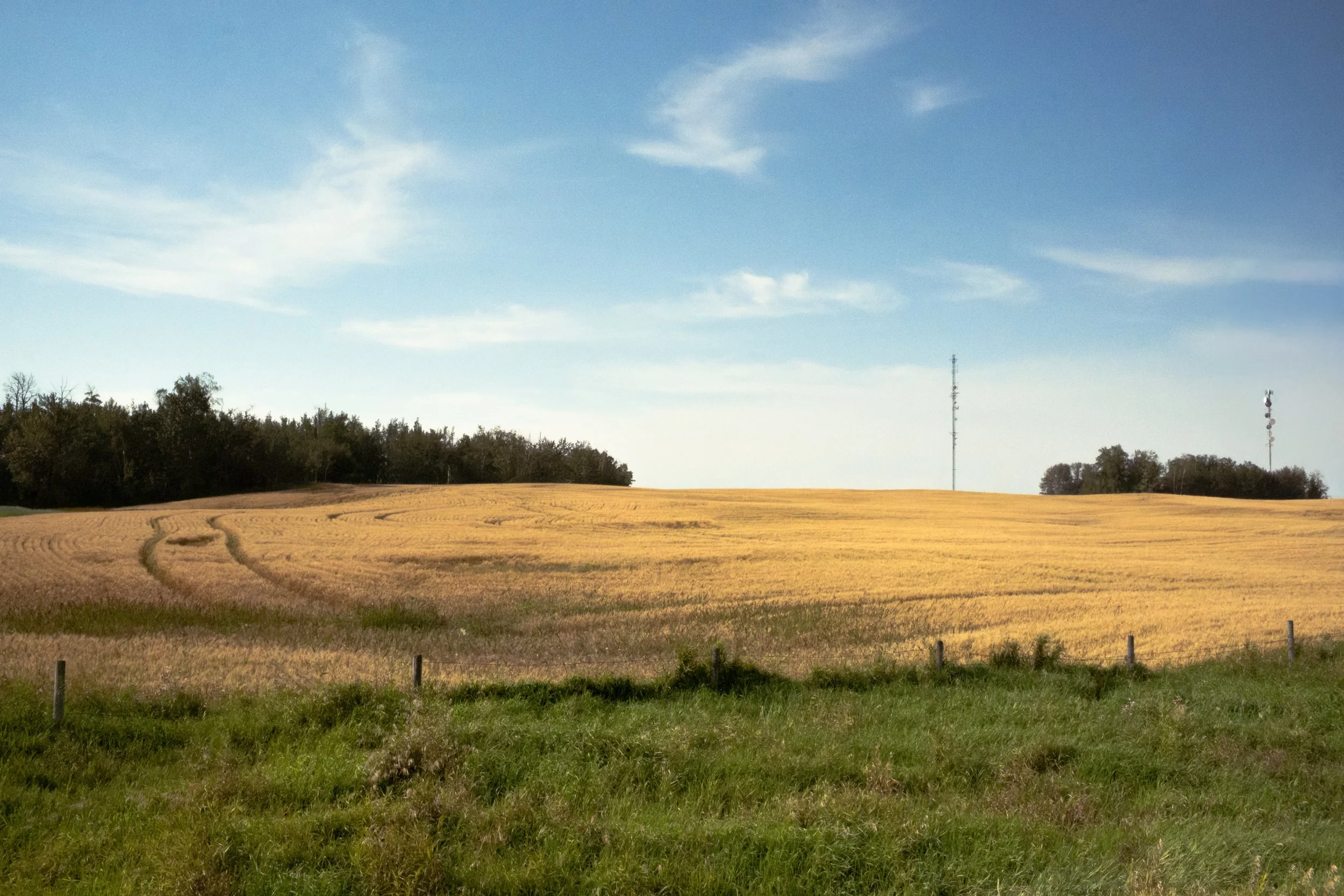 2026-08-13 - County Of-12.jpg