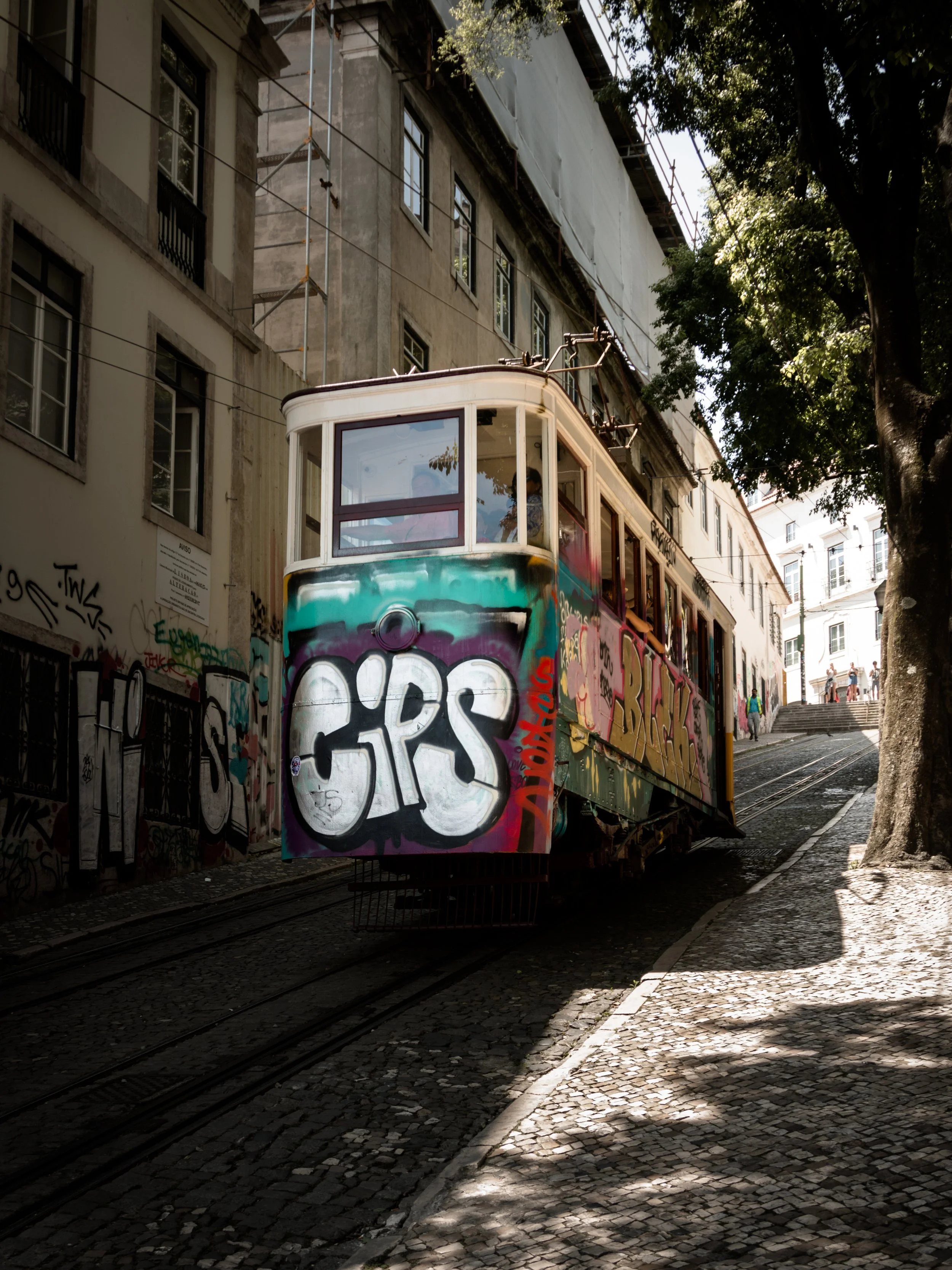 2020-01-17 - CIPS.jpg