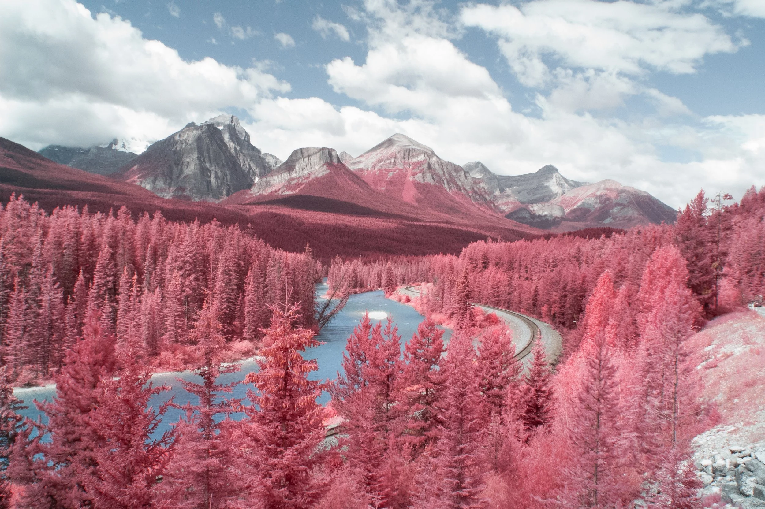 2025-08-11 - IR-3.jpg