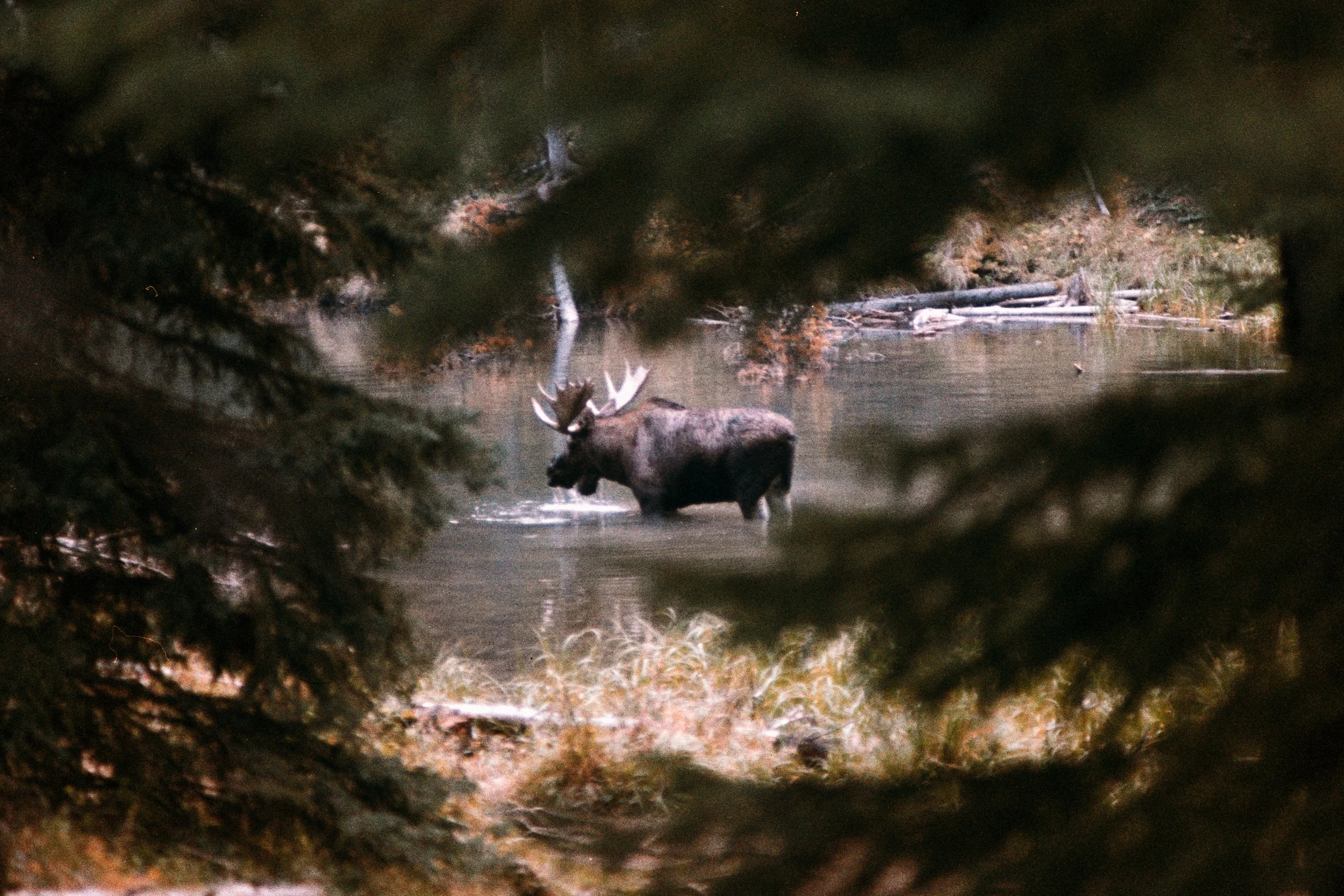 2019-12-30 - BWXX-24.jpg